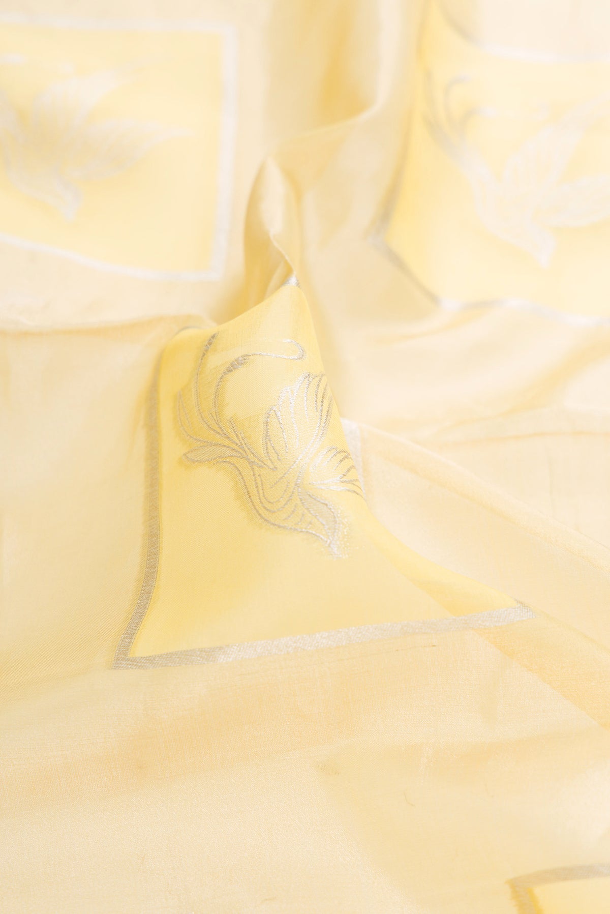 Close up of Sandal Dual Tone Banarasi Kora Saree with Zari Brocade on the body and Zari Border.  displaying folds