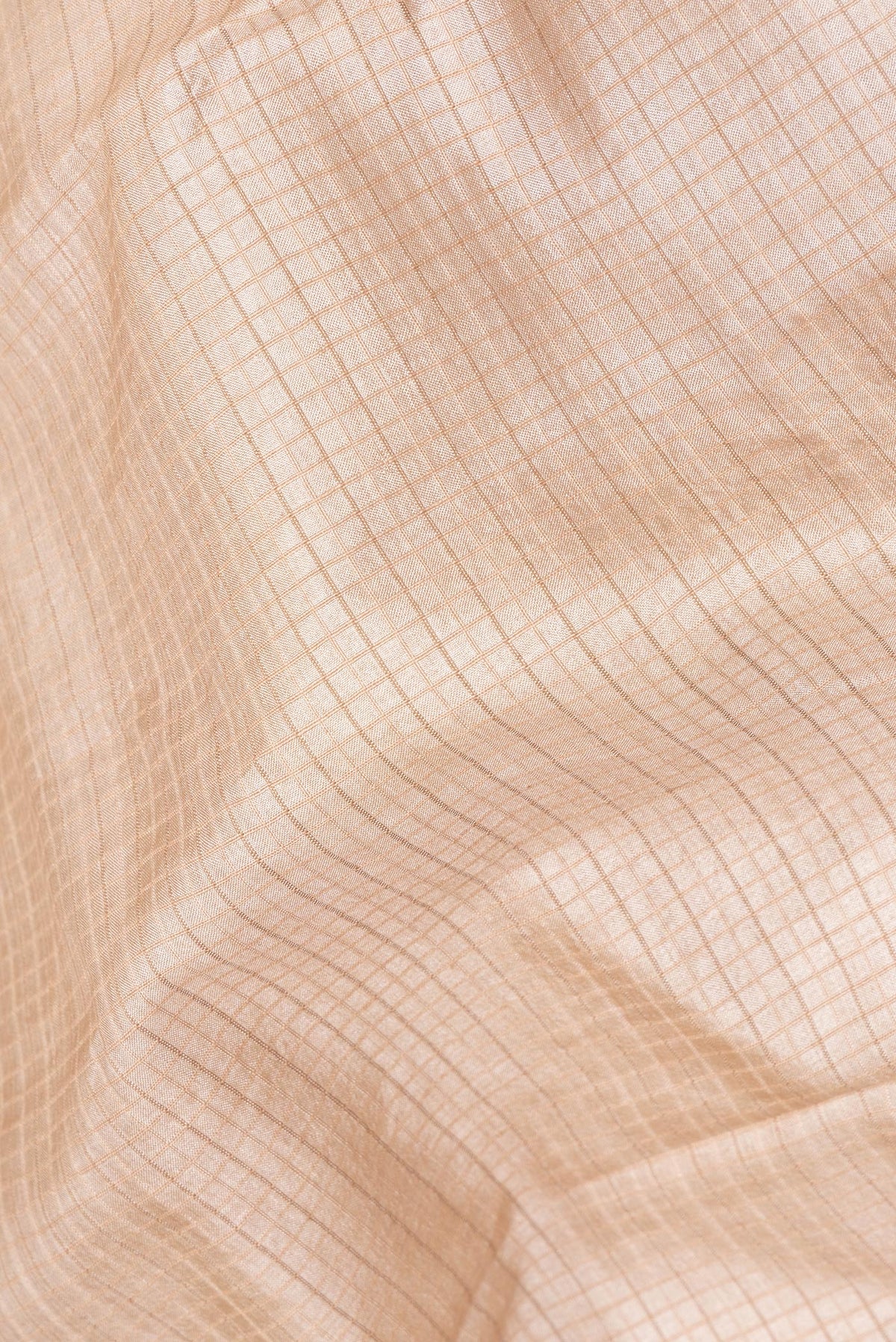 Close up of Beige Tussar Saree with Checked design on the body and Embroidery Border.  displaying folds