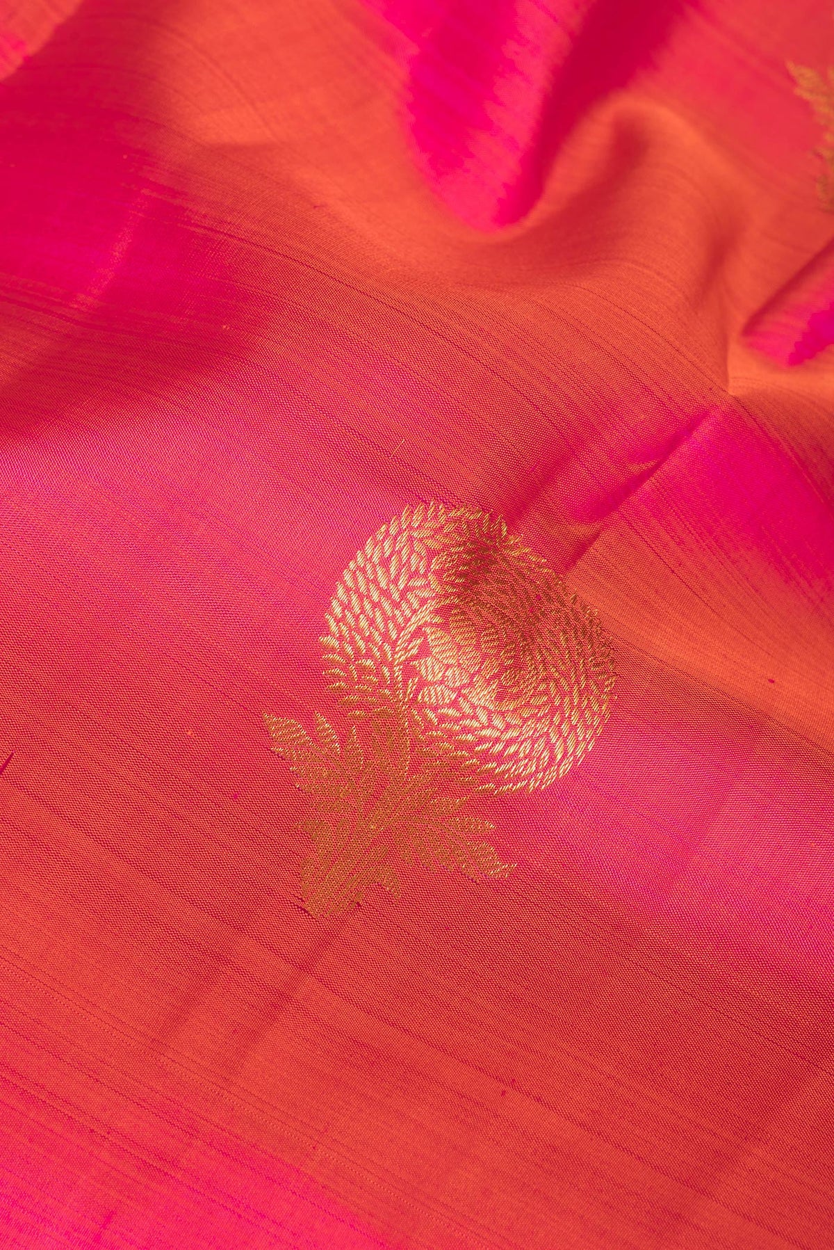 Close up of Pure Silk Coral Dual Tone Kanchipuram Saree with Zari Butta on the body and Fancy Border.  displaying folds