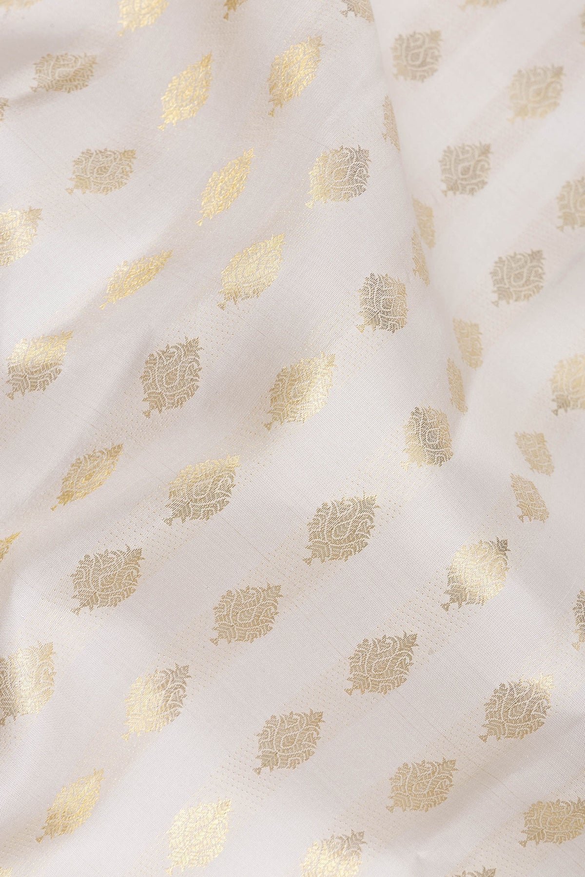 Close up of Pure Silk White Kanchipuram Saree with Zari Butta on the body and Zari Border.  displaying folds
