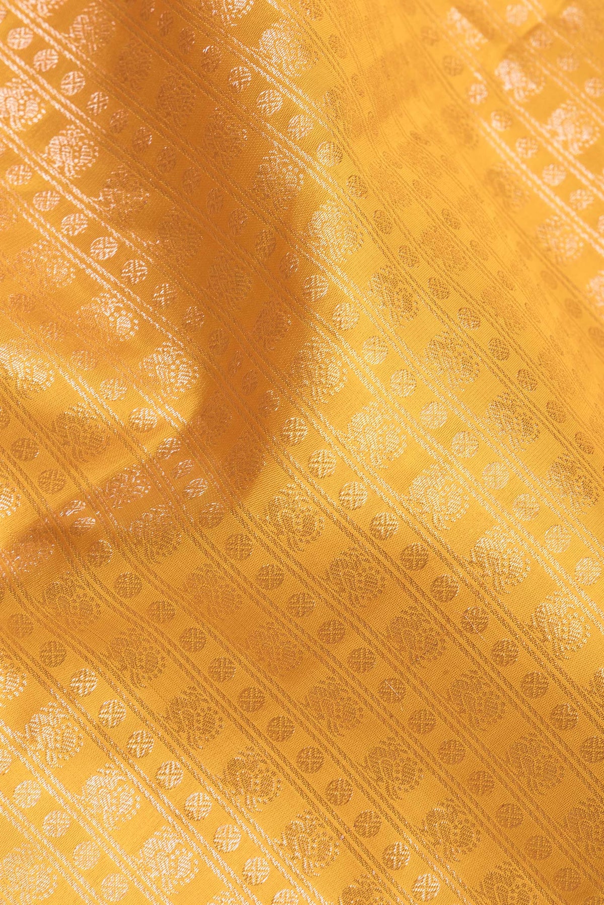Close up of Pure Silk Mustard Dual Tone Kanchipuram Saree with Zari Brocade on the body and Zari Border.  displaying folds