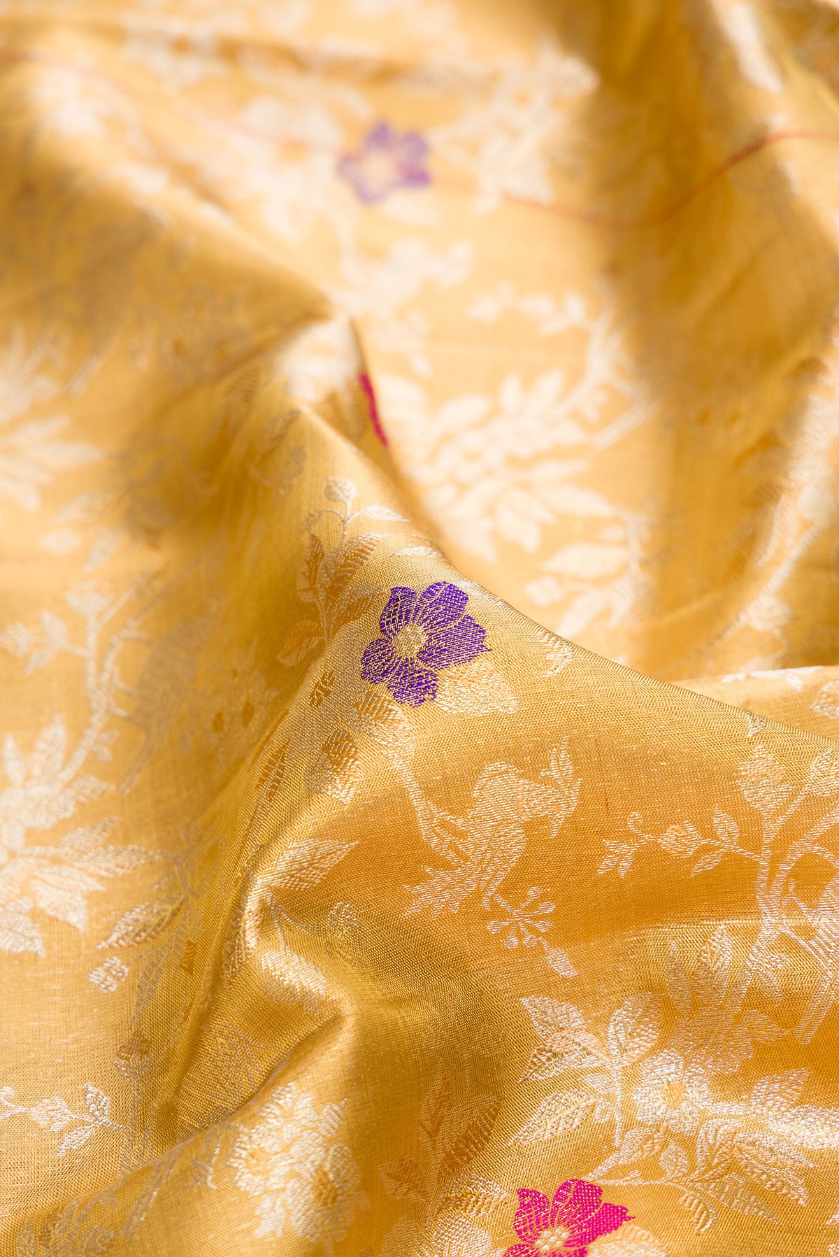 Close up of Gold Dual Tone Kanjivaram Tissue Saree with Zari Brocade on the body and Zari Border.  displaying folds