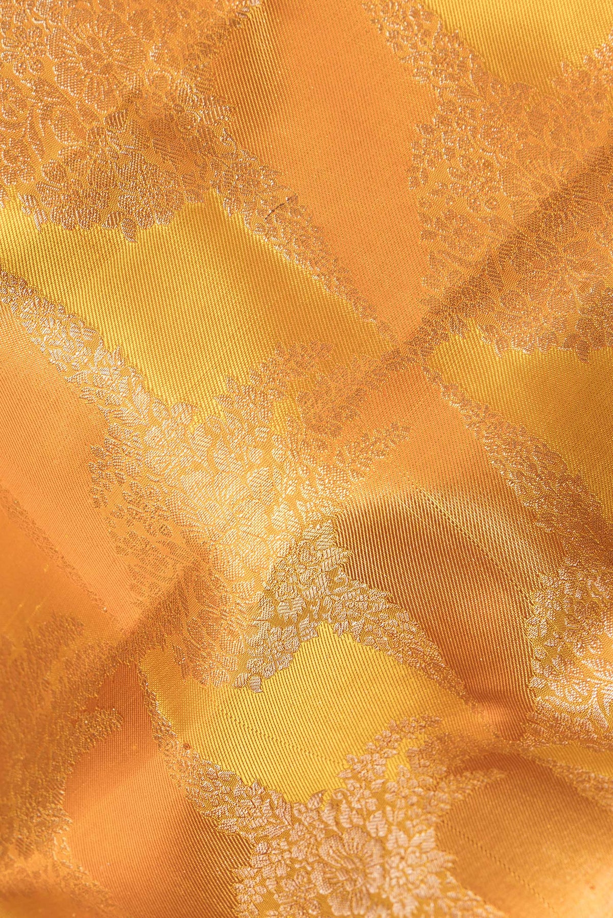 Close up of Pure Silk Mustard Dual Tone Kanjivaram Saree with Zari Brocade on the body and Zari Border.  displaying folds