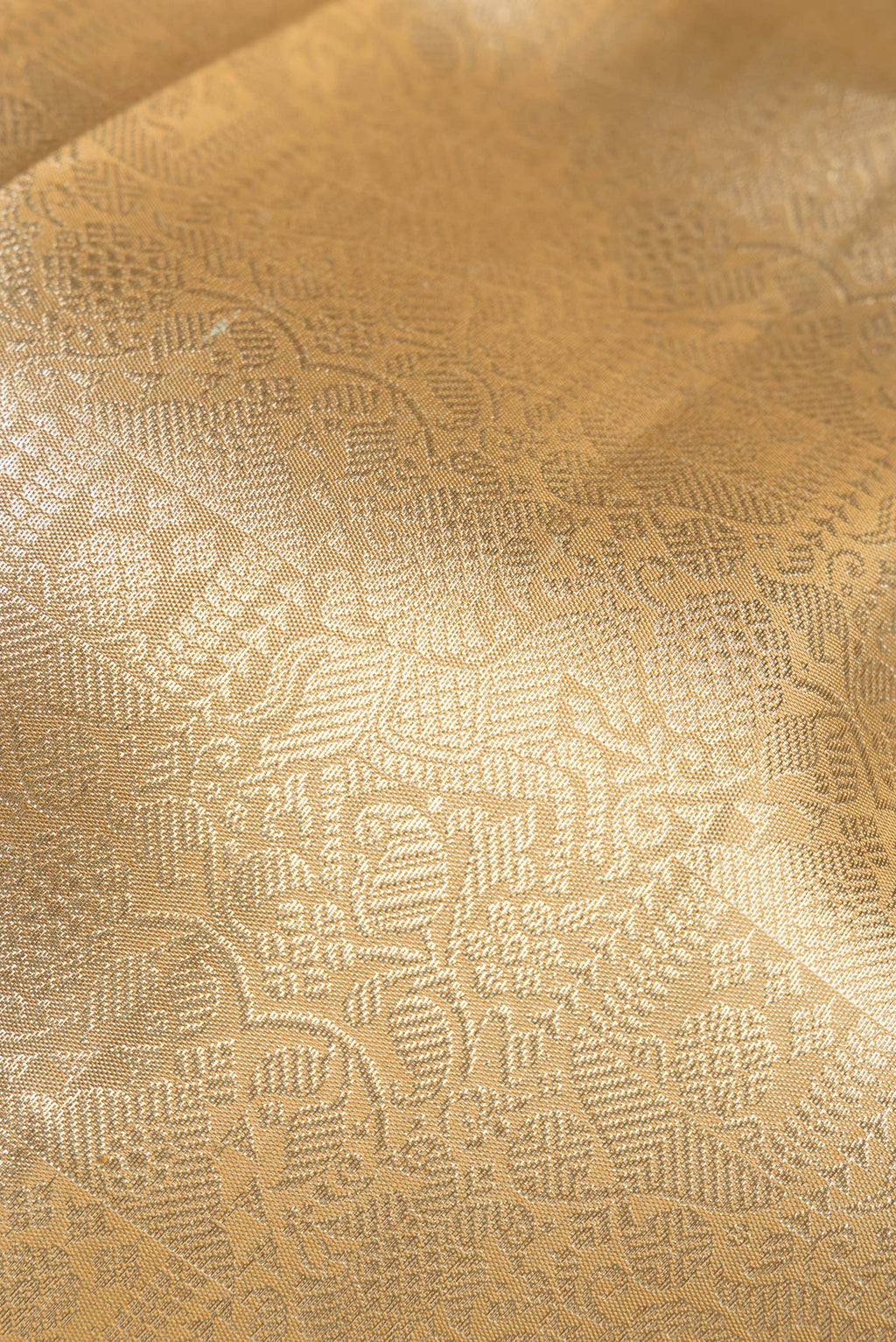 Close up of Pure Silk Beige Kanjivaram Saree with Zari Brocade on the body and Fancy Border.  displaying folds
