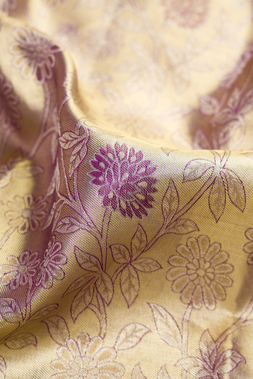 Close up of Gold Dual Tone Kanchipuram Tissue Saree with Zari Brocade on the body and Zari Border.  displaying folds