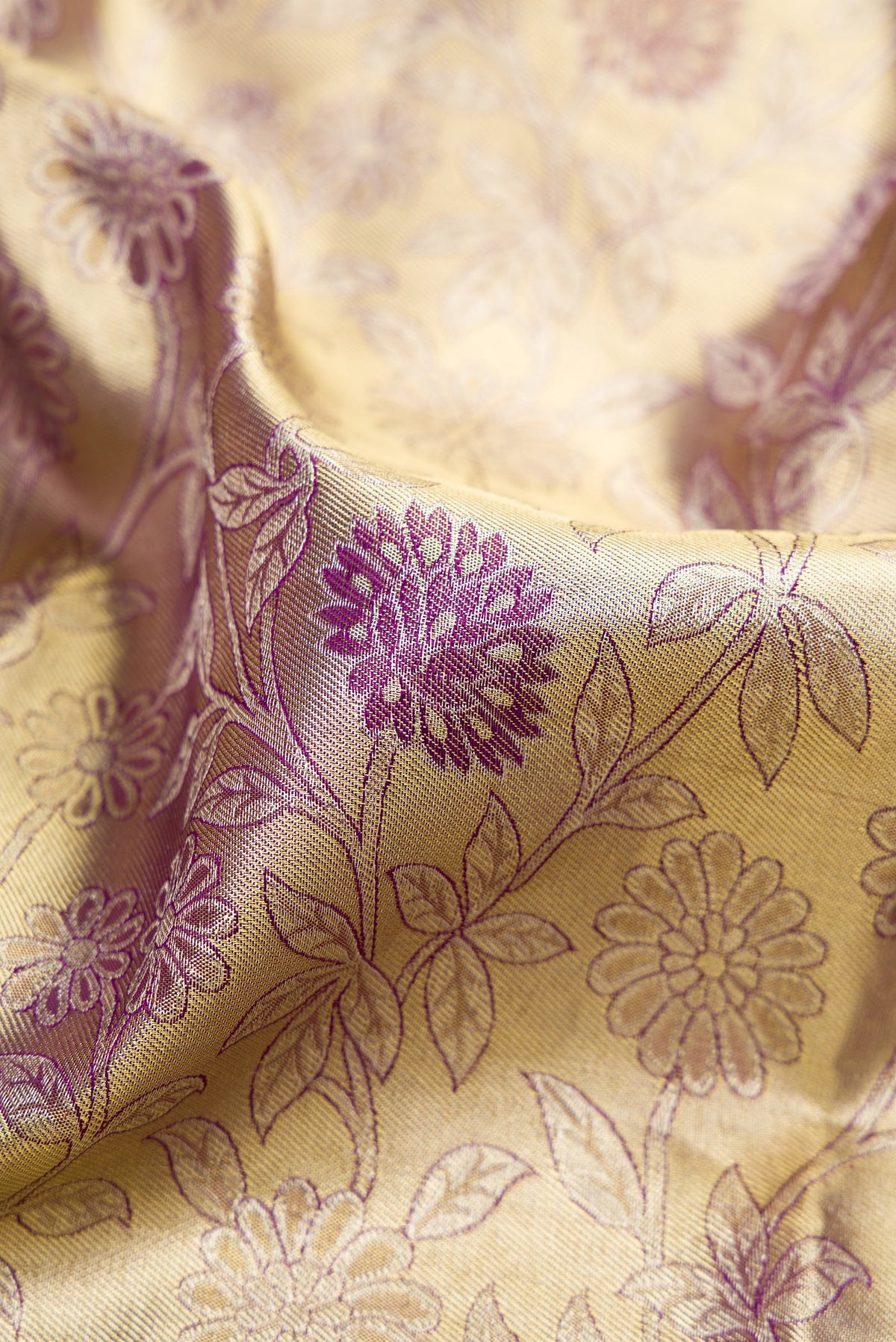 Close up of Gold Dual Tone Kanchipuram Tissue Saree with Zari Brocade on the body and Zari Border.  displaying folds