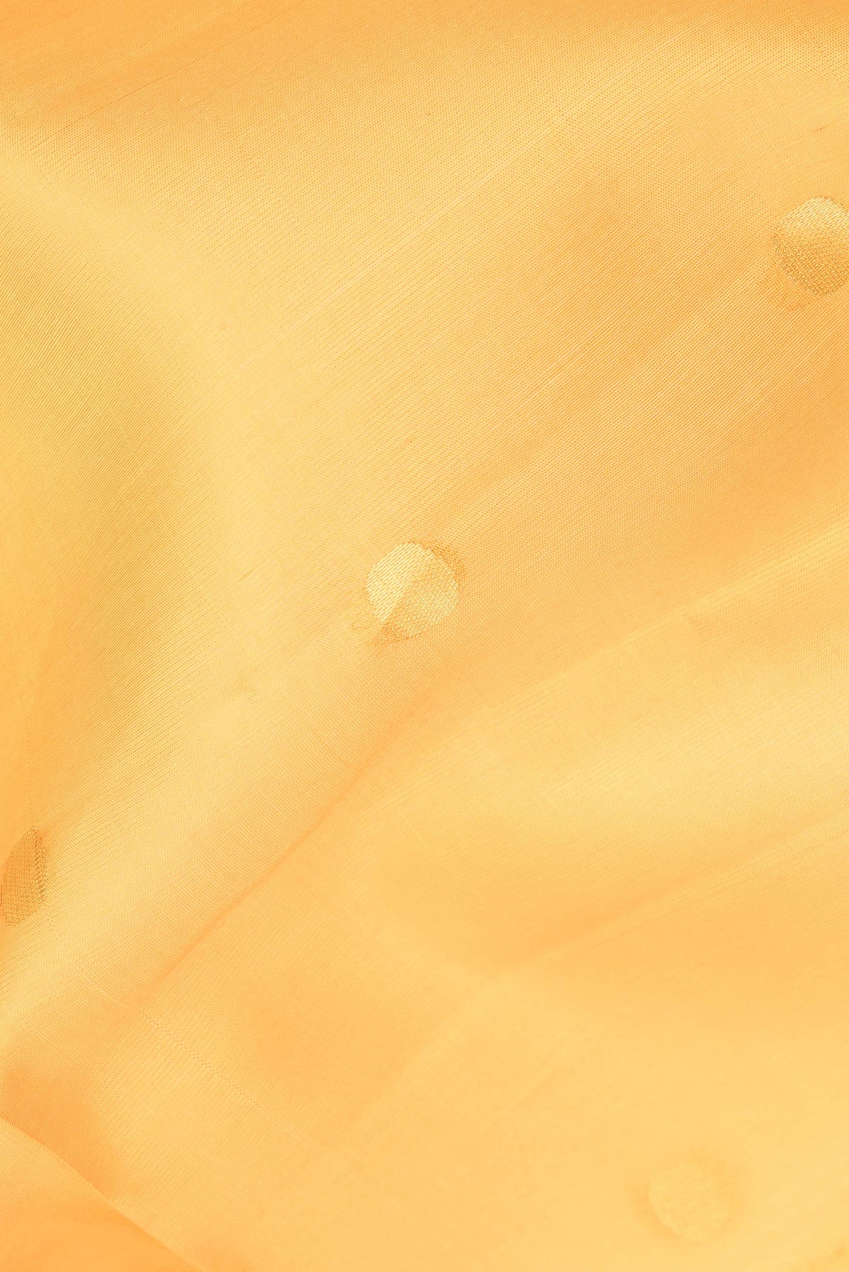 Close up of Pure Silk Mustard Dual Tone Tussar Saree with Zari Butta on the body and Zari Border.  displaying folds