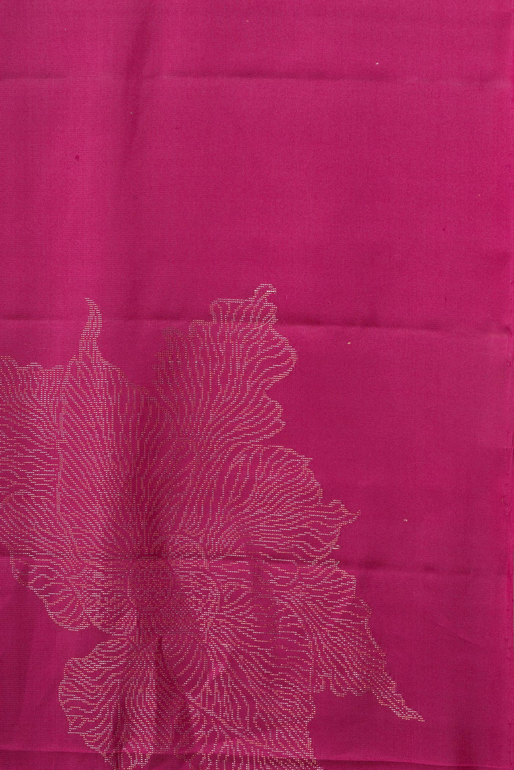 Border image of Pure Silk Magenta Dual Tone Soft Saree with Zari Butta on the body and Without Border. 