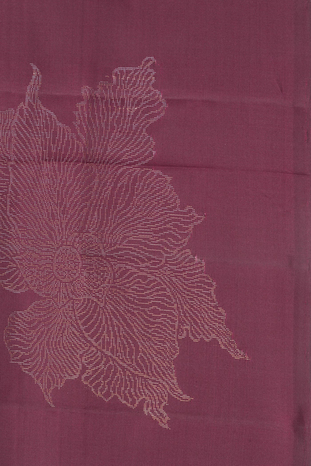 Border image of Pure Silk Burgundy Dual Tone Soft Saree with Zari Butta on the body and Without Border. 