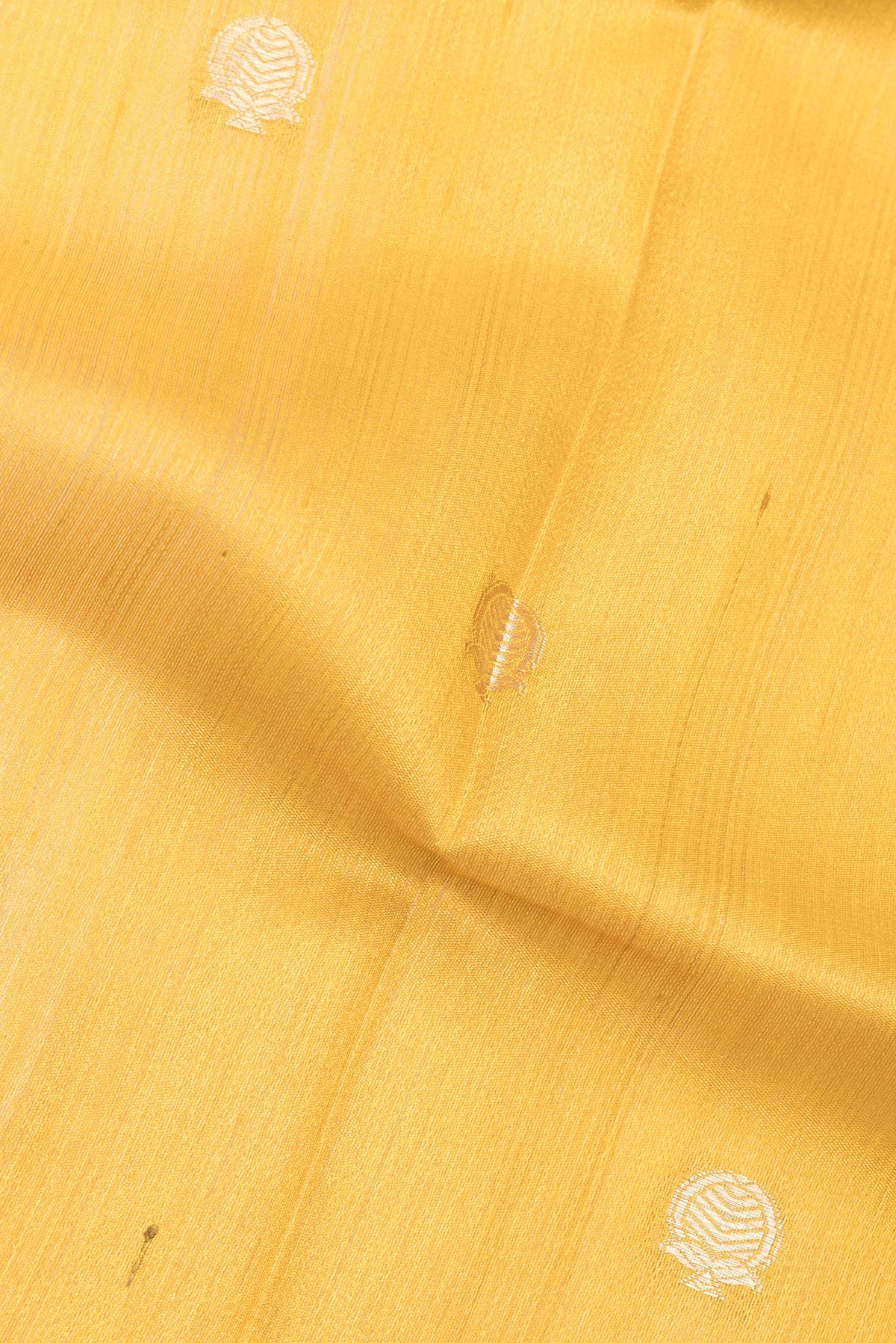 Close up of Yellow Tussar Saree with Zari Butta on the body and Fancy Border.  displaying folds