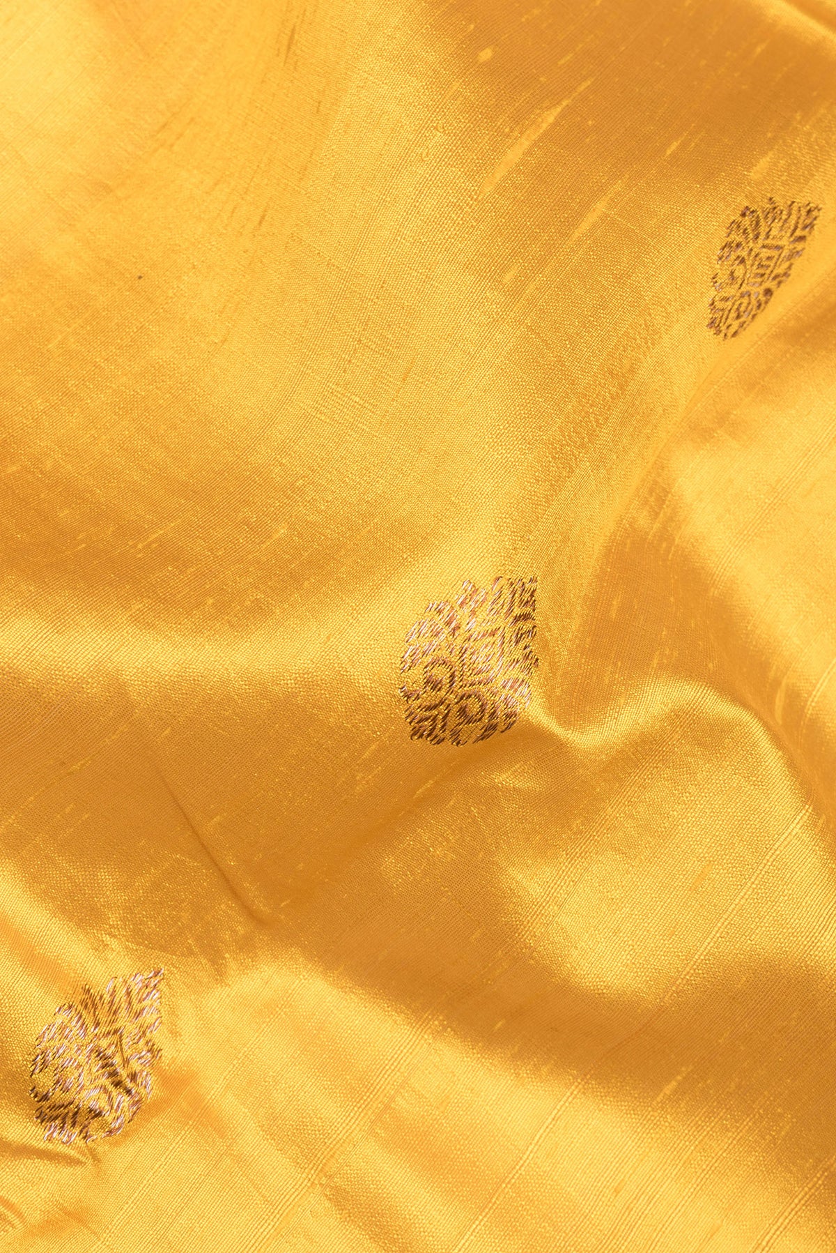 Close up of Mustard Raw Saree with Zari Butta on the body and Zari Border.  displaying folds