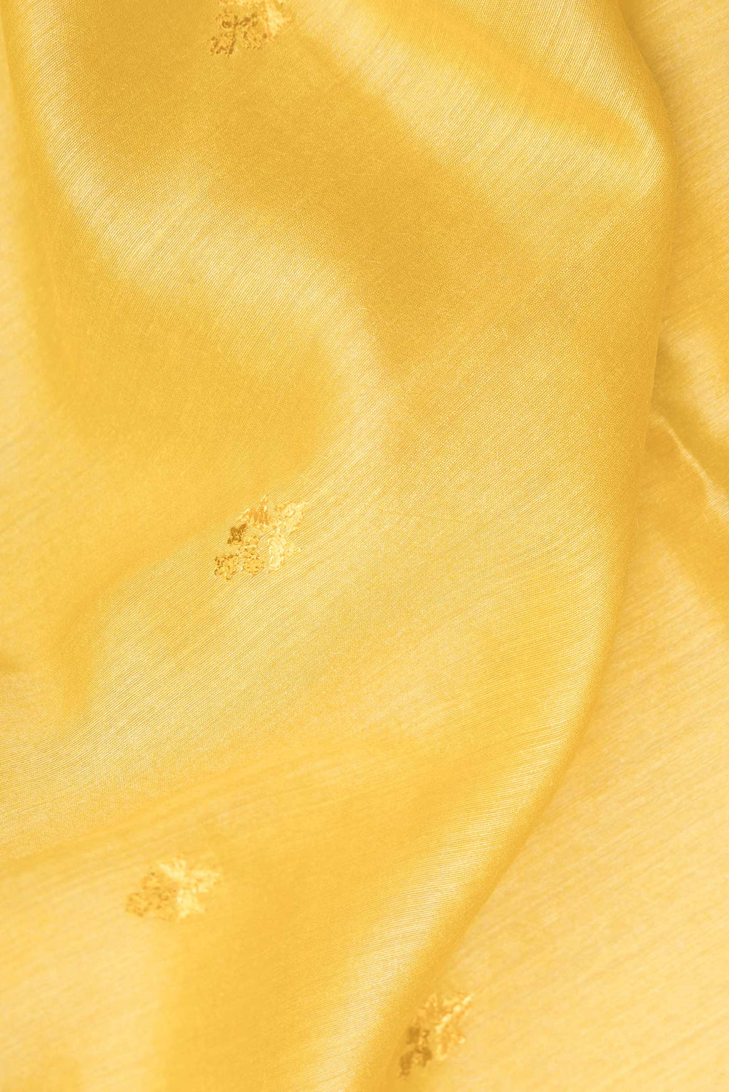 Close up of Yellow Tussar Saree with Embroidered on the body and Embroidered Border.  displaying folds