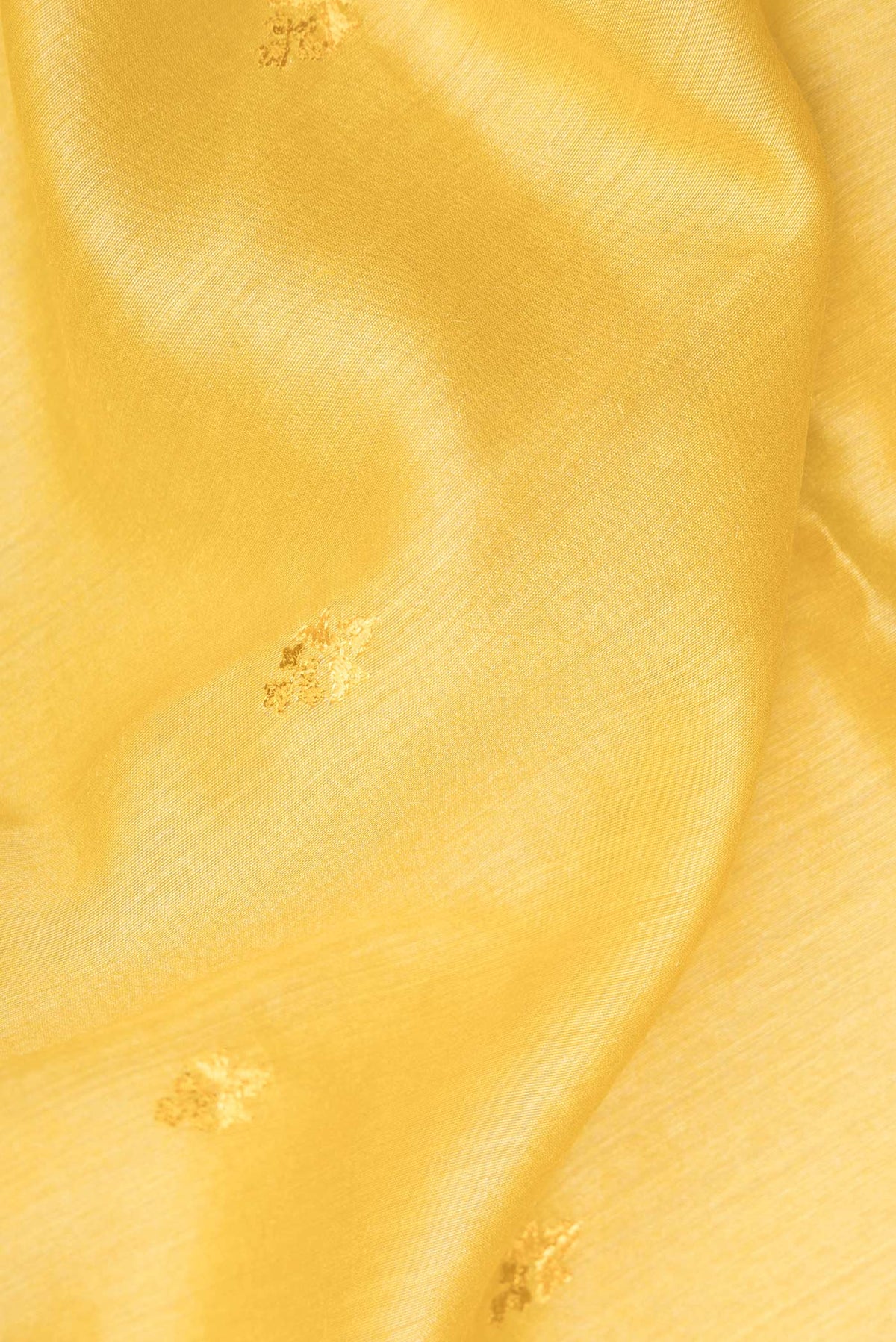 Close up of Yellow Tussar Saree with Embroidered on the body and Embroidered Border.  displaying folds