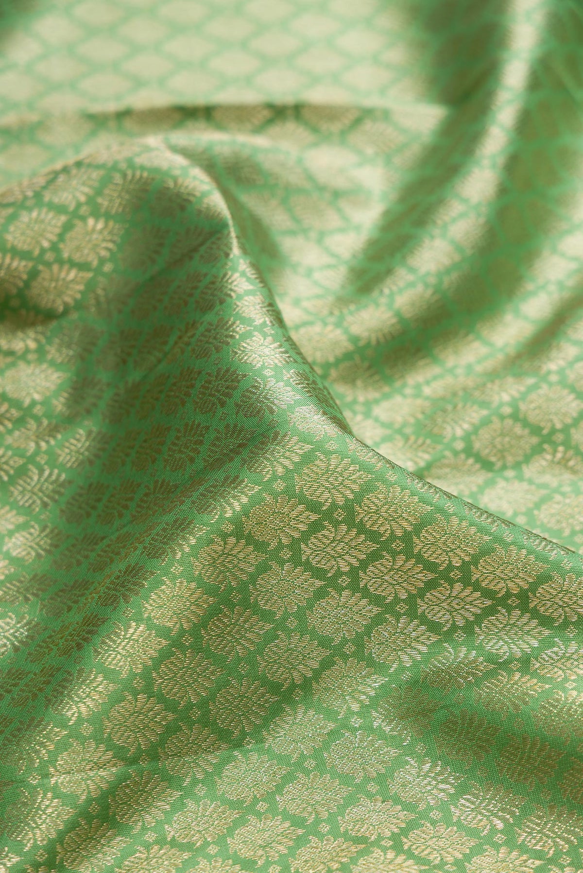Close up of Pure Silk Pista Green Kanjivaram Saree with Zari Brocade on the body and Zari Border.  displaying folds