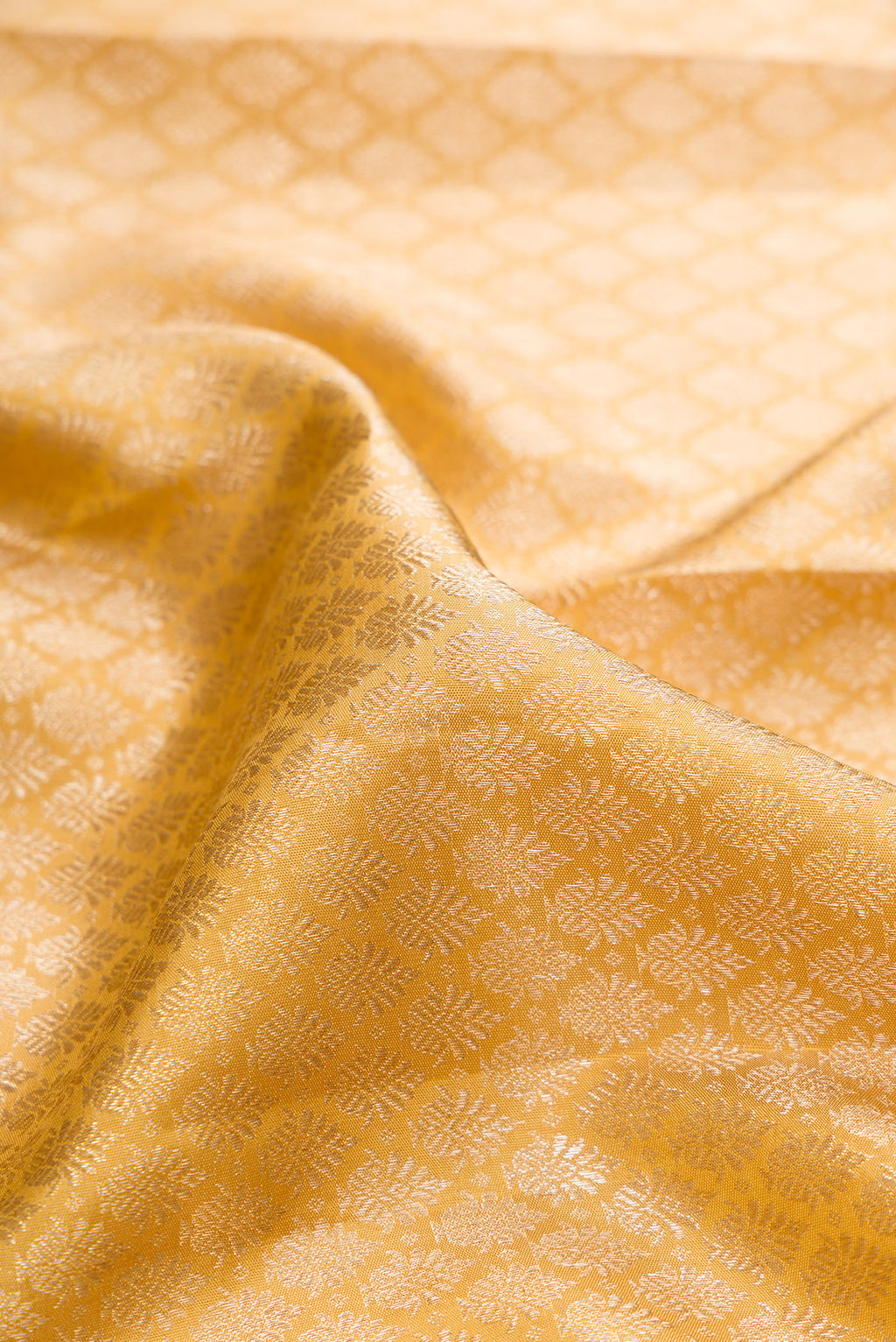 Close up of Pure Silk Sandal Dual Tone Kanjivaram Saree with Zari Brocade on the body and Zari Border.  displaying folds