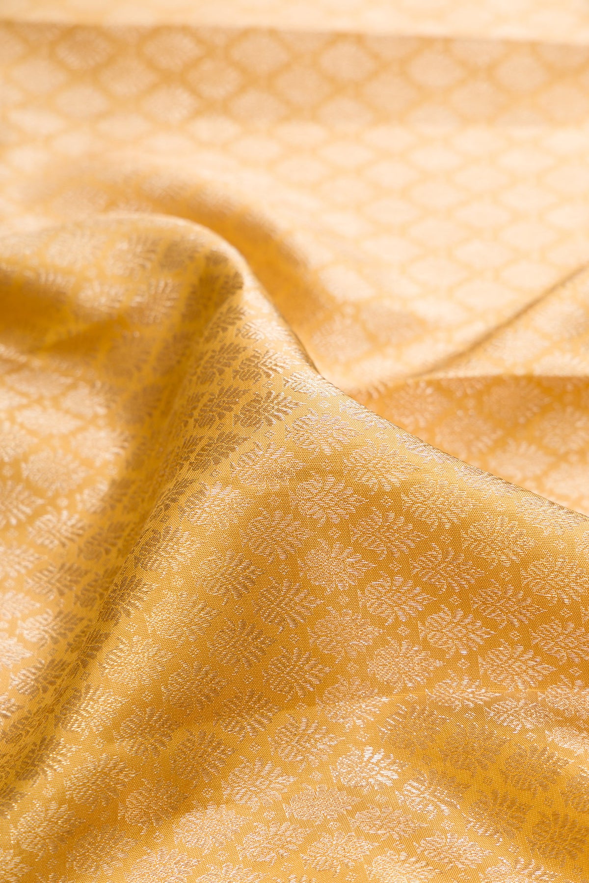 Close up of Pure Silk Sandal Dual Tone Kanjivaram Saree with Zari Brocade on the body and Zari Border.  displaying folds