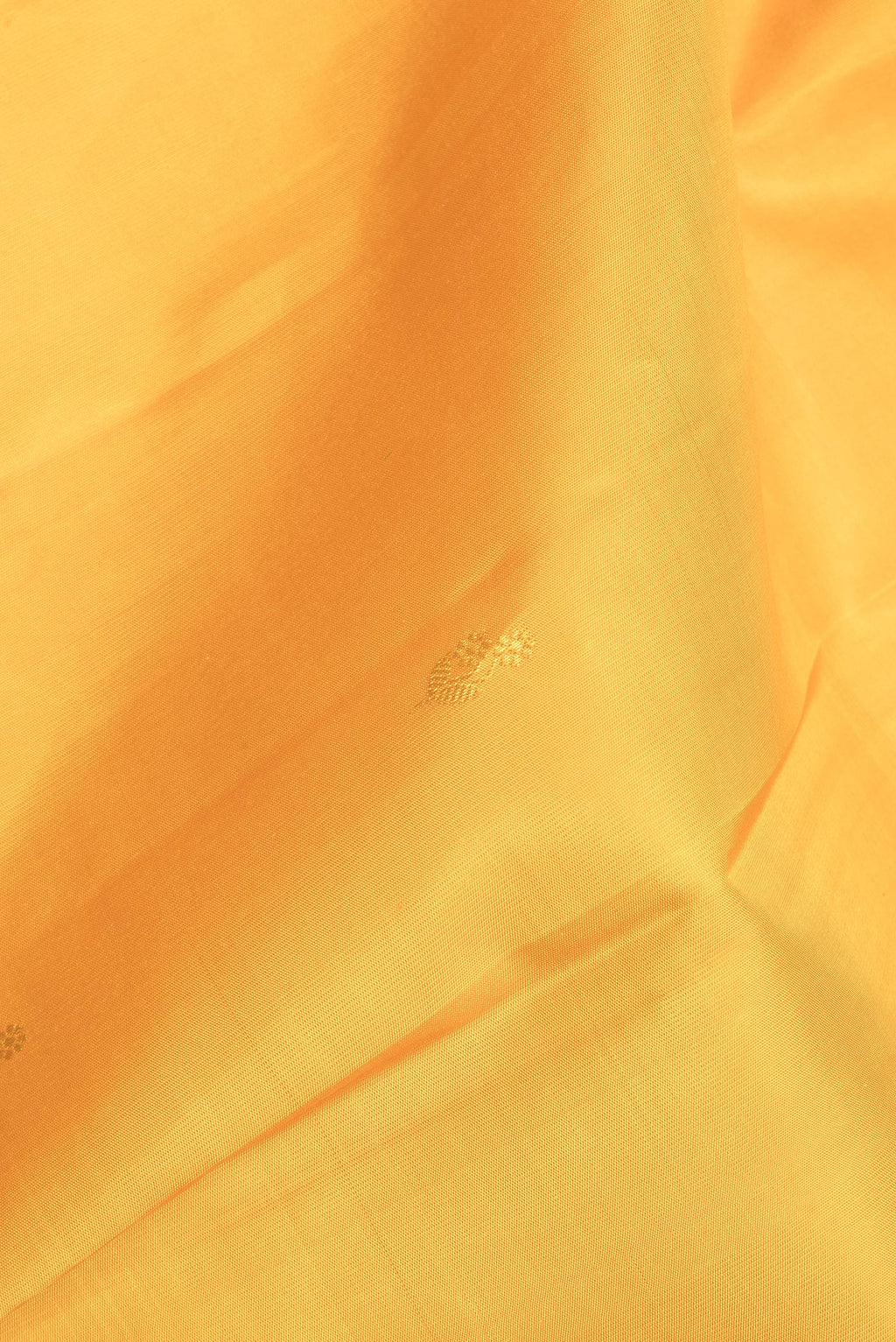 Close up of Pure Silk Mustard Dual Tone Kanchipuram Saree with Zari Butta on the body and Zari Border.  displaying folds