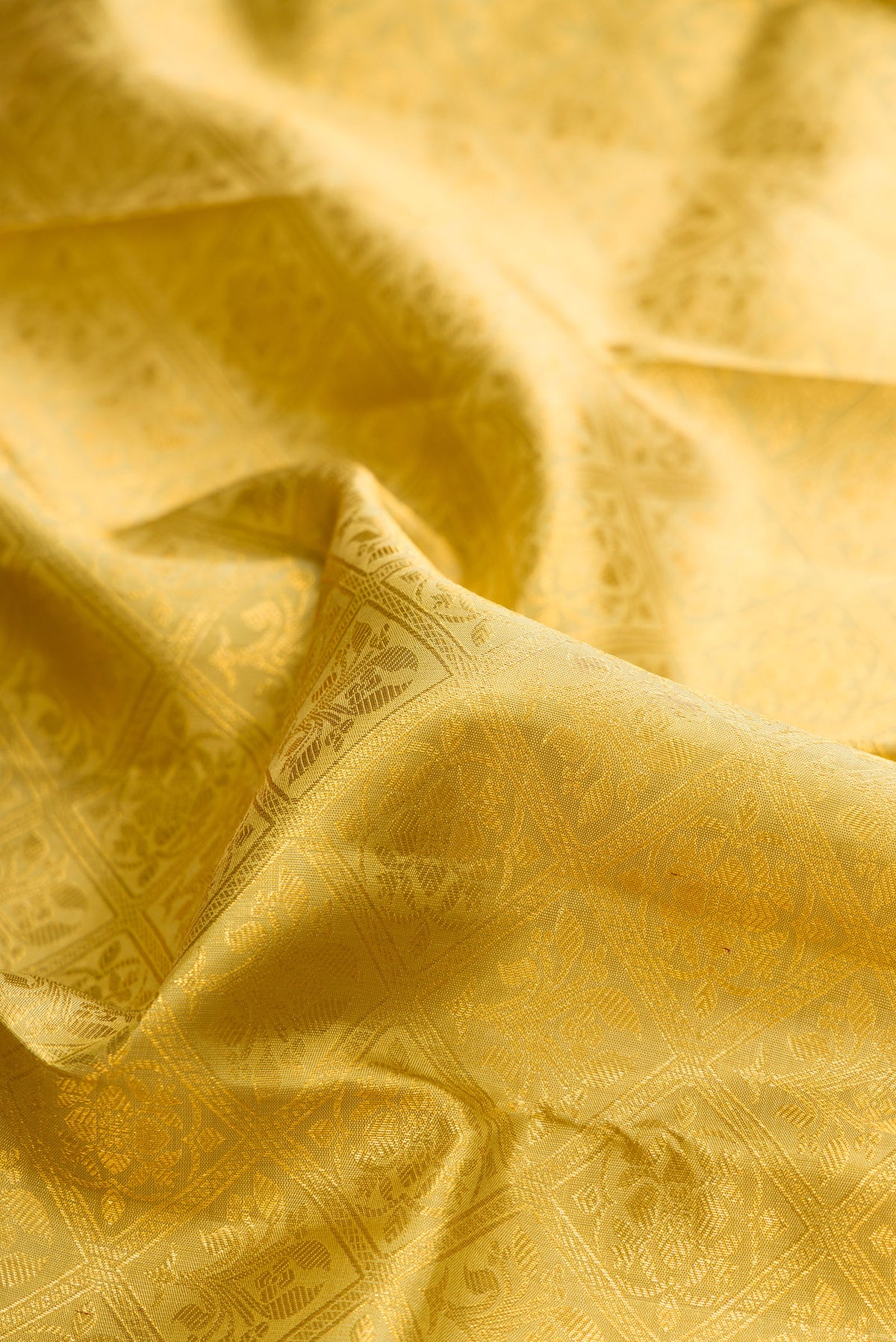 Close up of Pure Silk Gold Dual Tone Kanchipuram Saree with Zari Brocade on the body and Zari Border.  displaying folds
