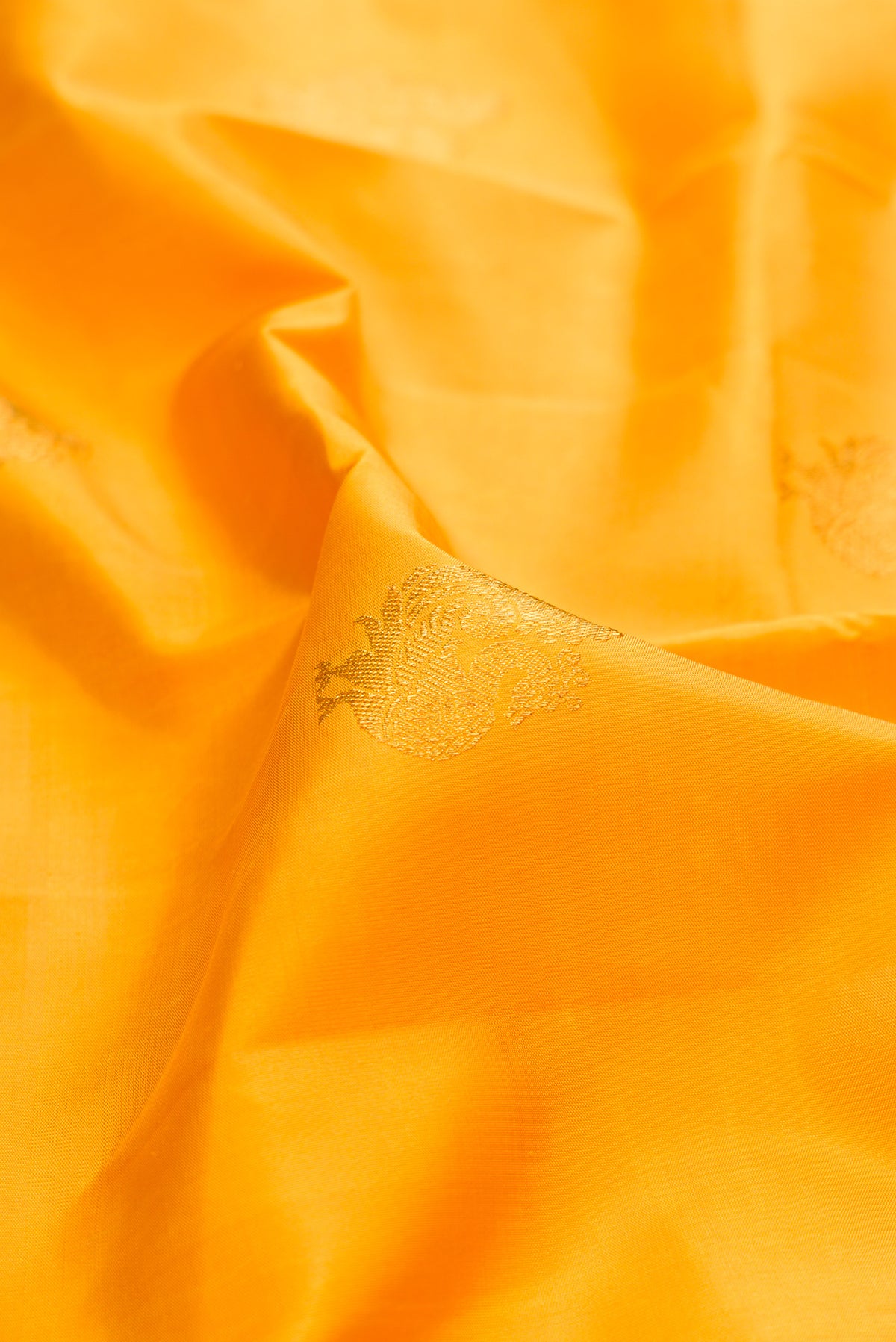 Close up of Pure Silk Pure Zari Mustard Kanchipuram Saree with Zari Butta on the body and Zari Border.  displaying folds
