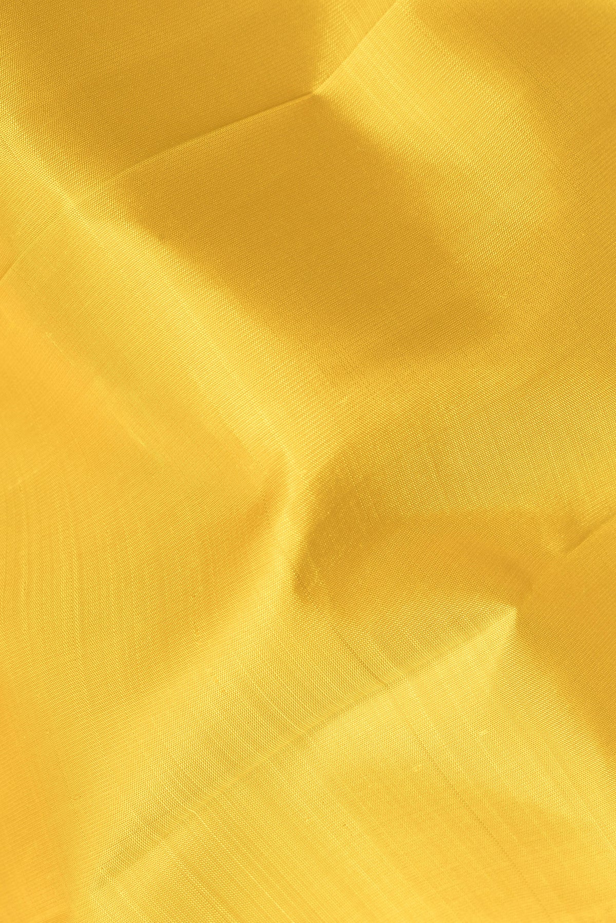 Close up of Pure Silk Yellow Kanjivaram Saree with Plain Body and Zari Border.  displaying folds