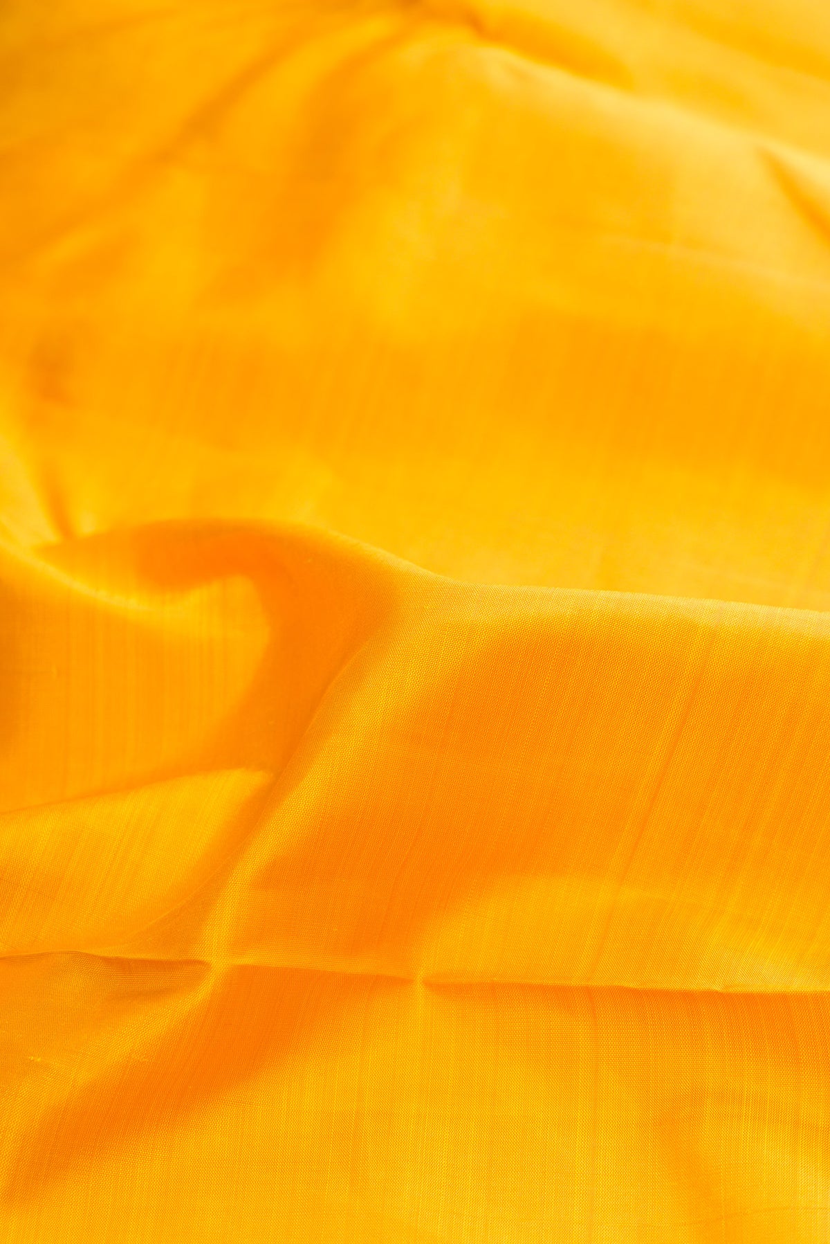Close up of Pure Silk Pure Zari Yellow Dual Tone Kanjivaram Saree with Plain Body and One Side Border.  displaying folds