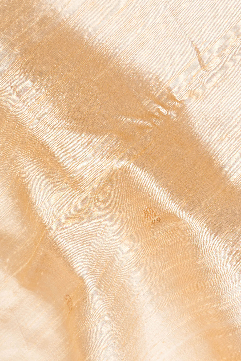 Close up of Pure Silk Sandal Banarasi Tussar Saree with Zari Butta on the body and Without Border.  displaying folds