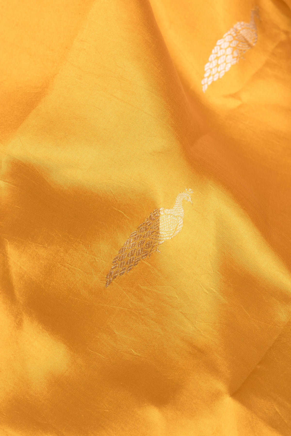 Close up of Pure Silk Mustard Banarasi Katan Saree with Zari Butta on the body and Fancy Border.  displaying folds