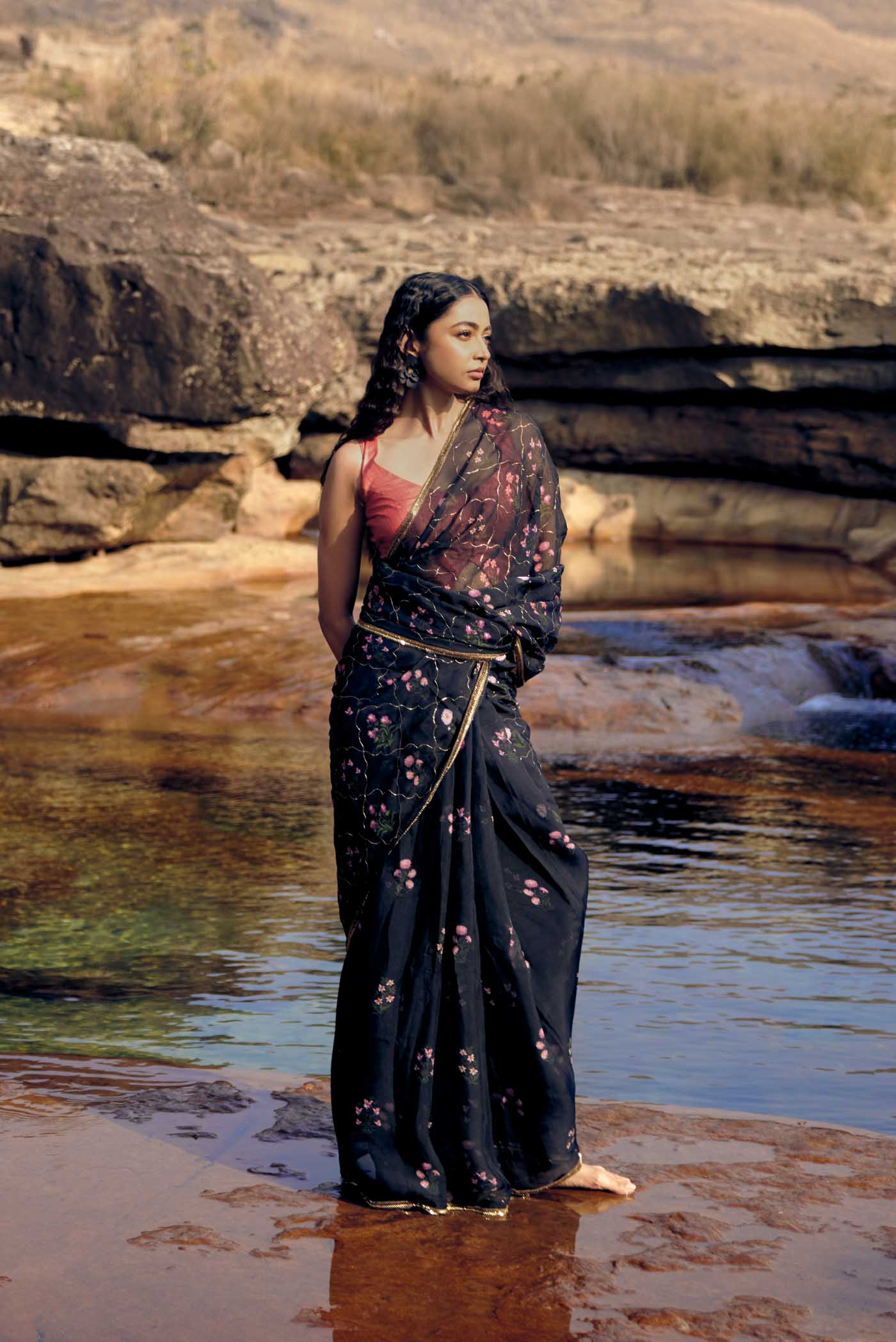 Courtyard of Love-Black Organza Silk Saree
