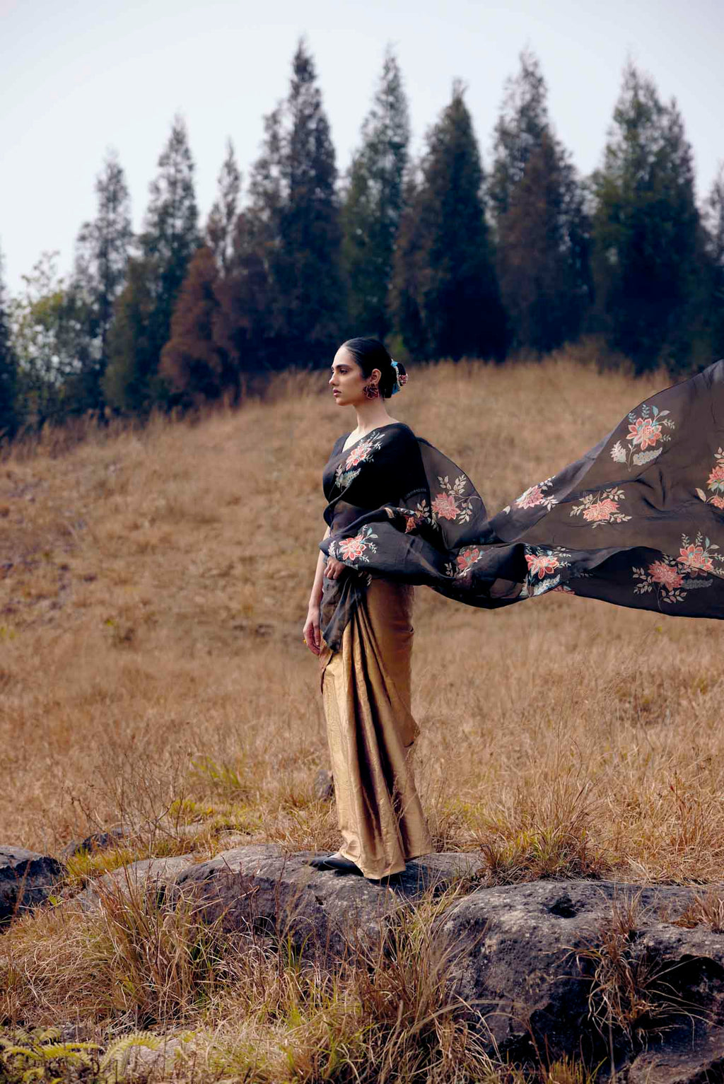 Dawn and Dusk-Gold & Black Organza Silk Saree