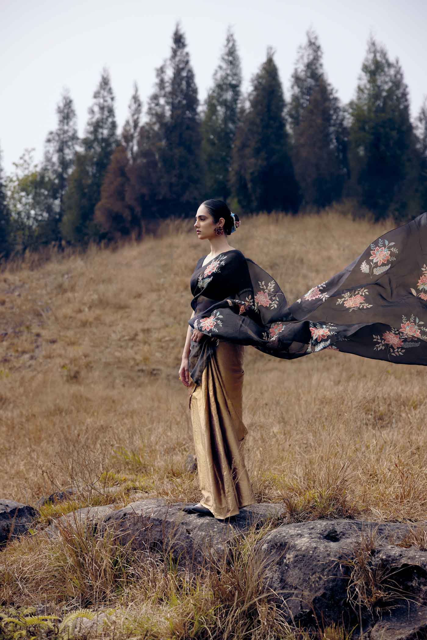 Dawn and Dusk-Gold & Black Organza Silk Saree