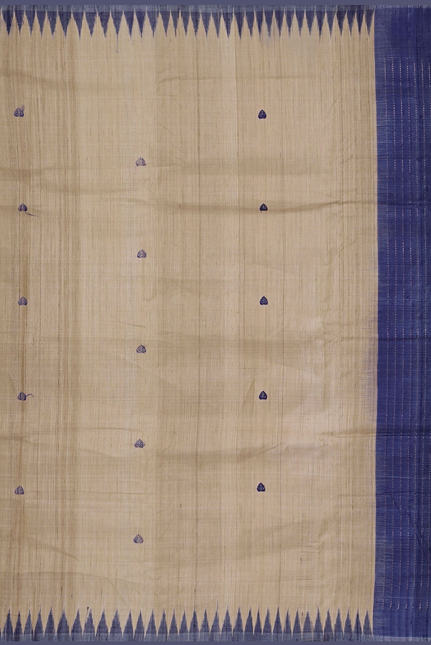 Beige Bhagalpuri Tussar Silk Saree