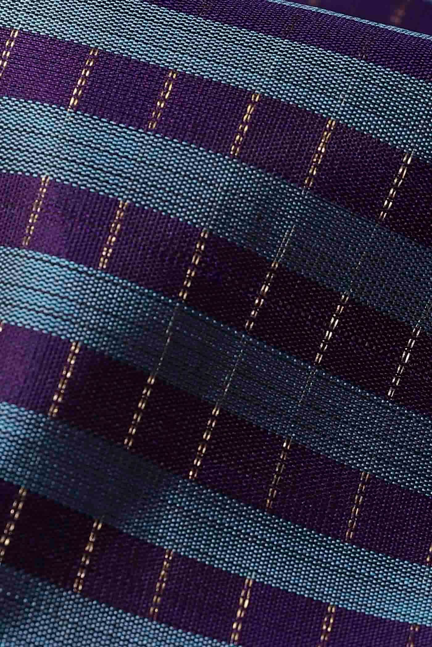Blue Kanchipuram Silk Saree