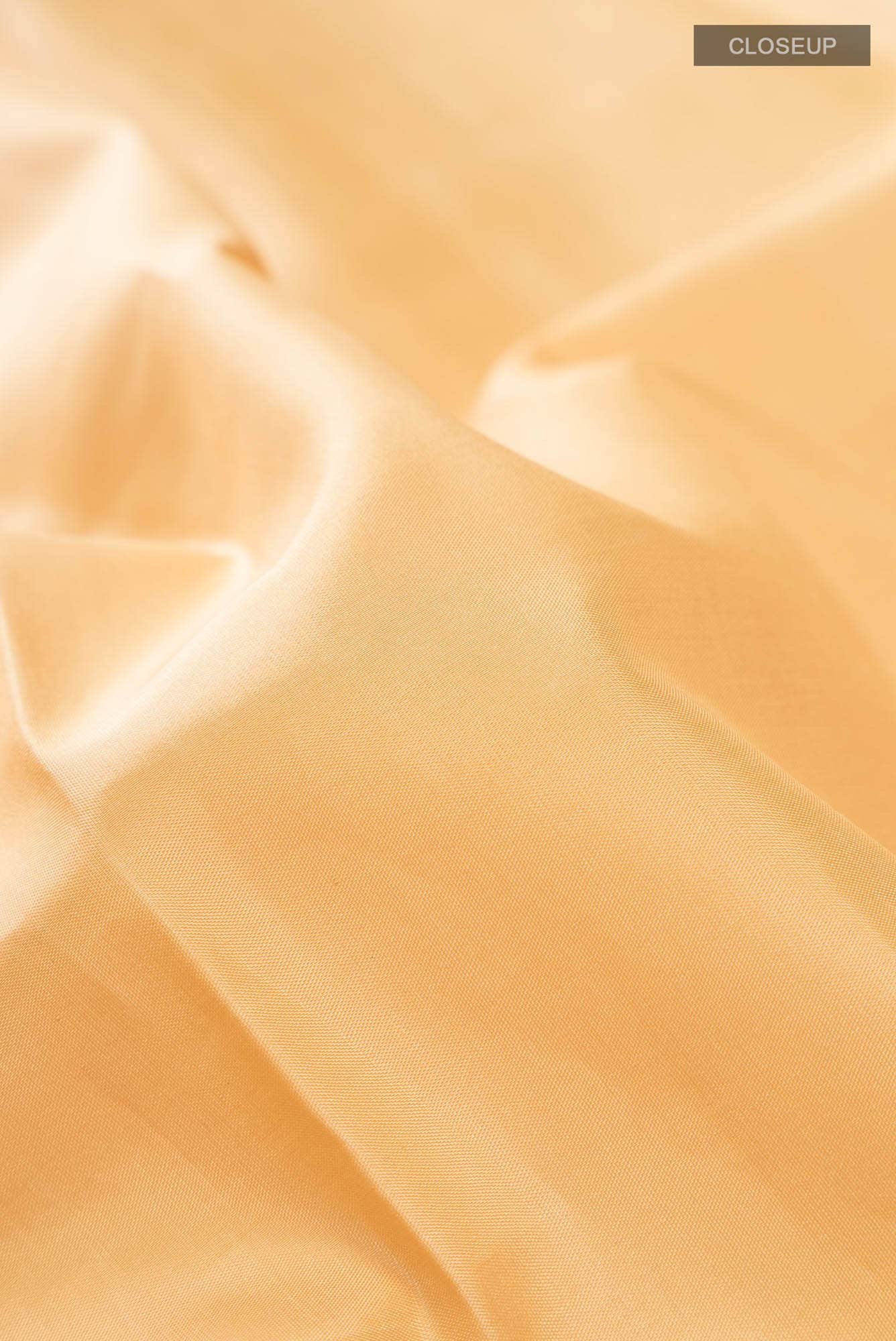 Pure Silk Pure Zari Cream Kanchipuram Saree