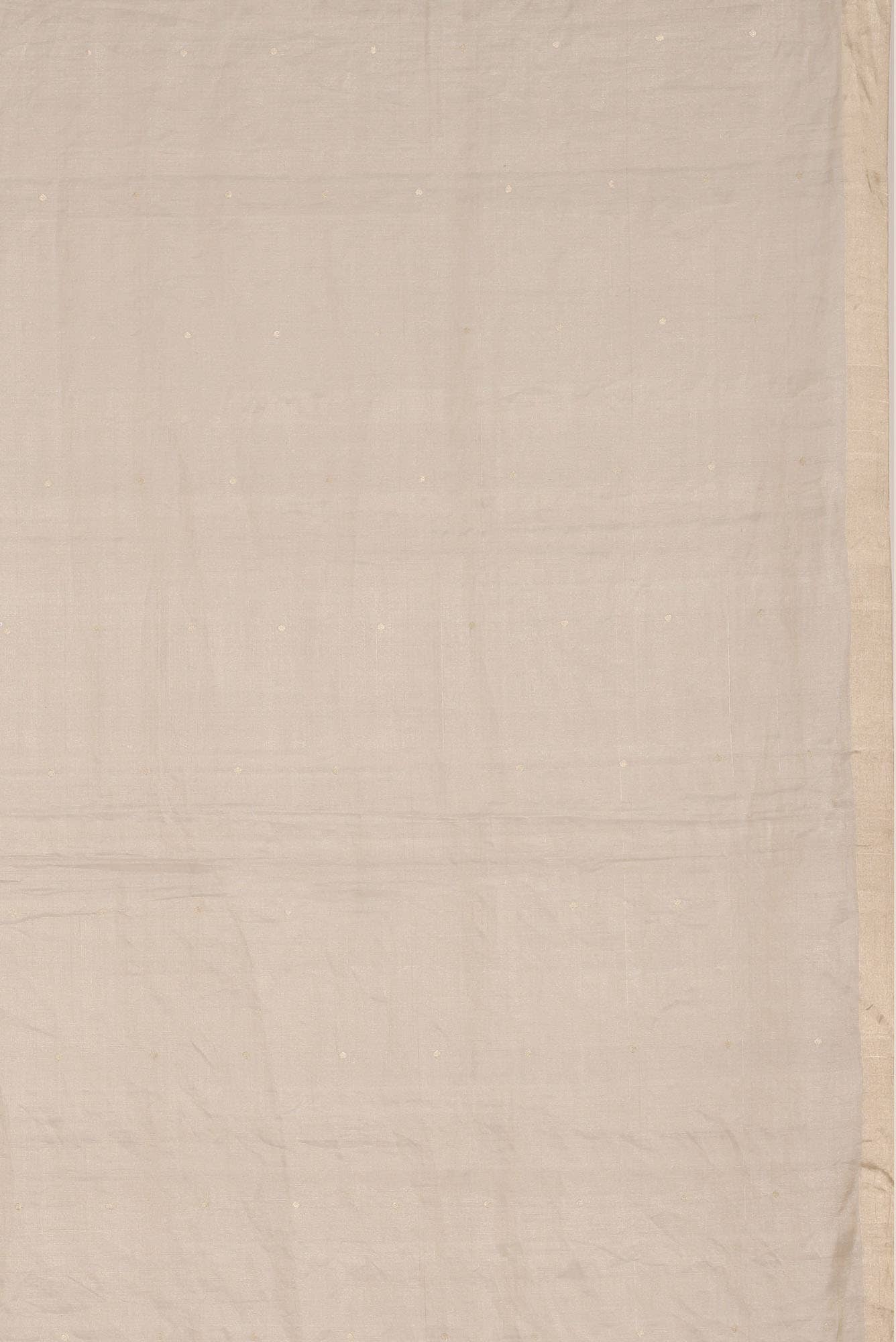 Beige Organza Silk Saree