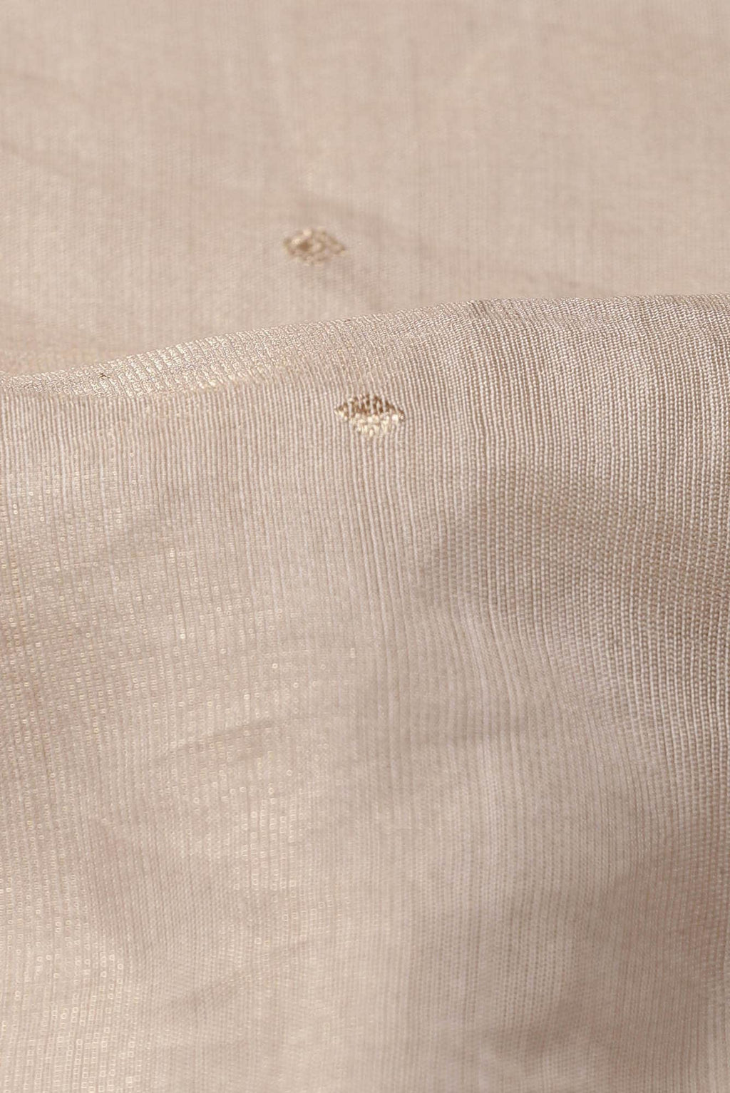 Beige Organza Silk Saree