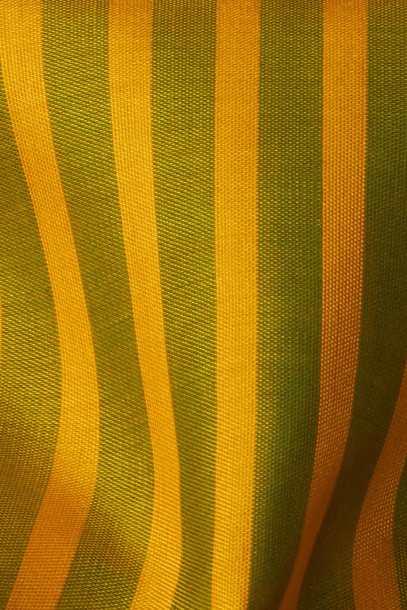 Multi Rajkot Patola Silk Saree