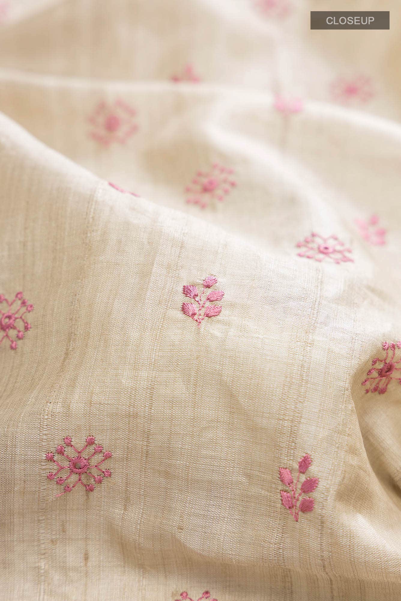 Beige Bhagalpuri Tussar Silk Saree