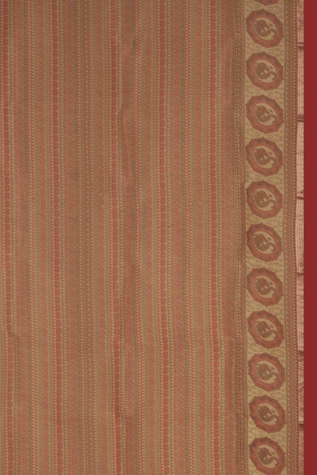 Beige Organza Silk Saree