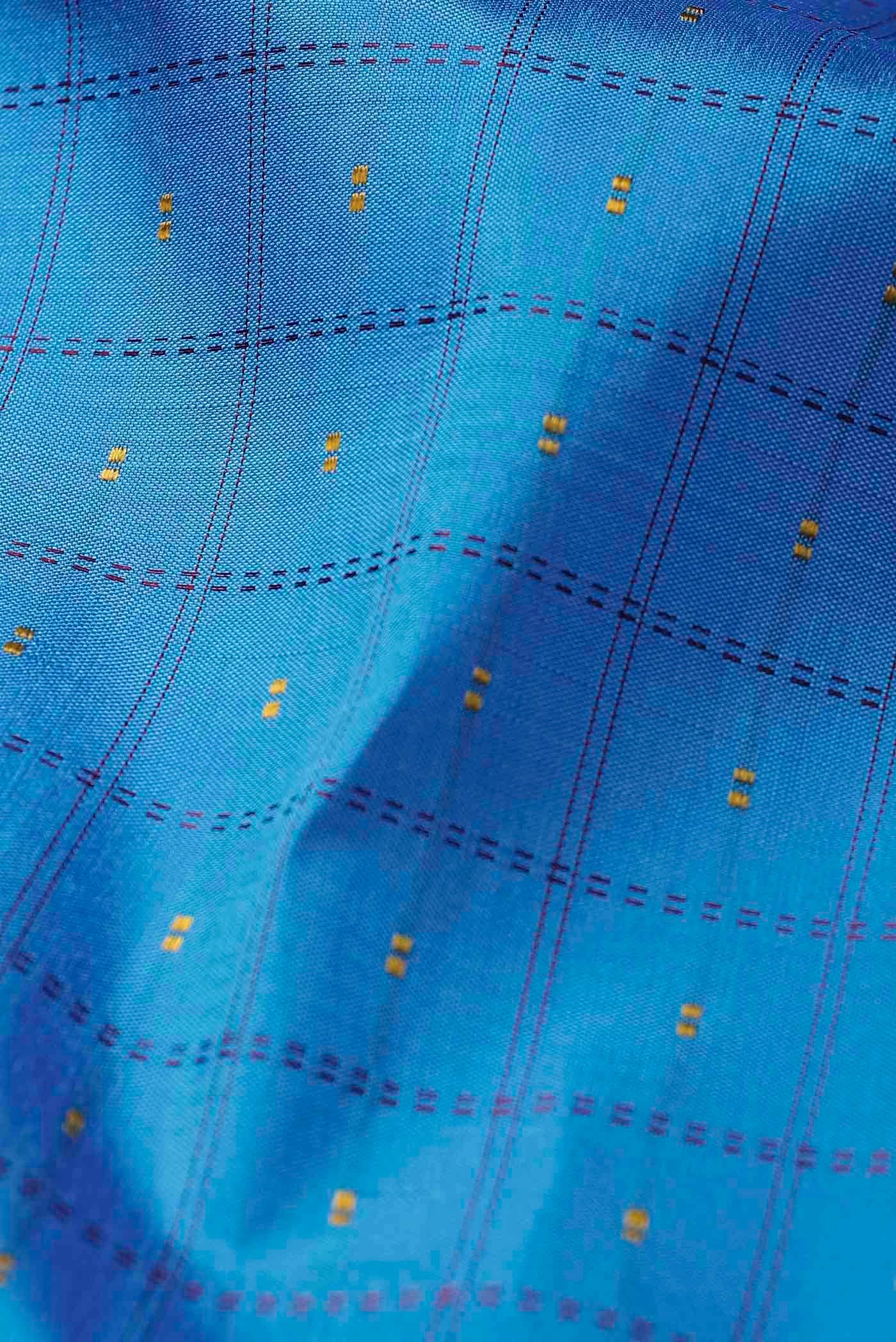 Blue Kanchipuram Silk Saree