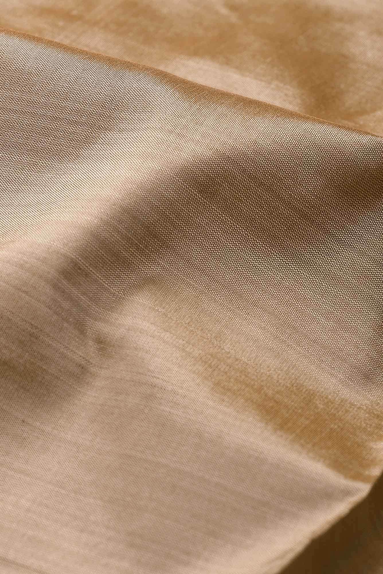 Beige Kanchipuram Silk Saree