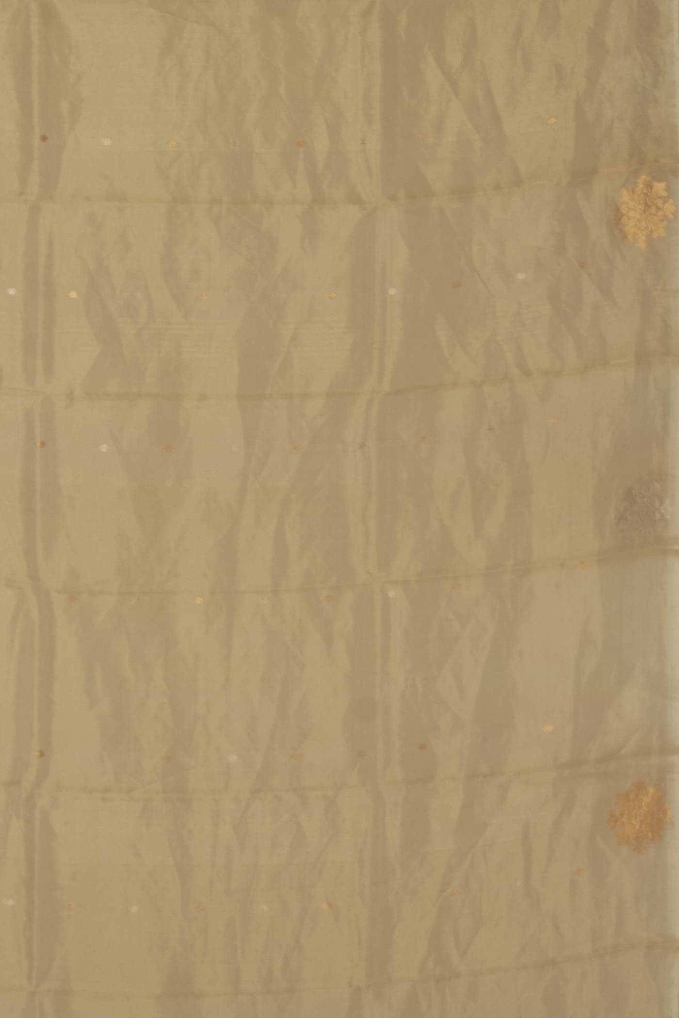 Beige Organza Silk Saree