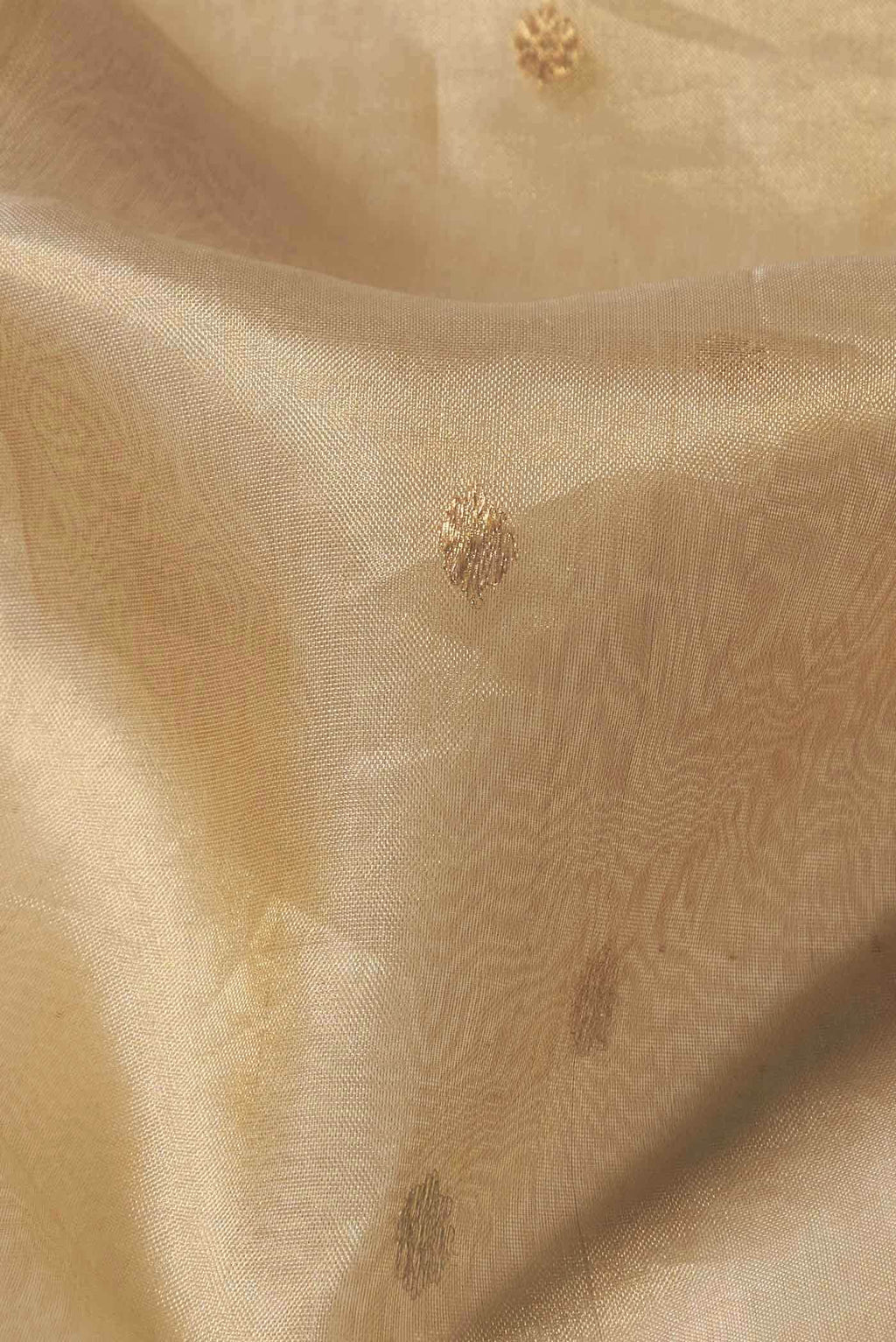 Beige Organza Silk Saree