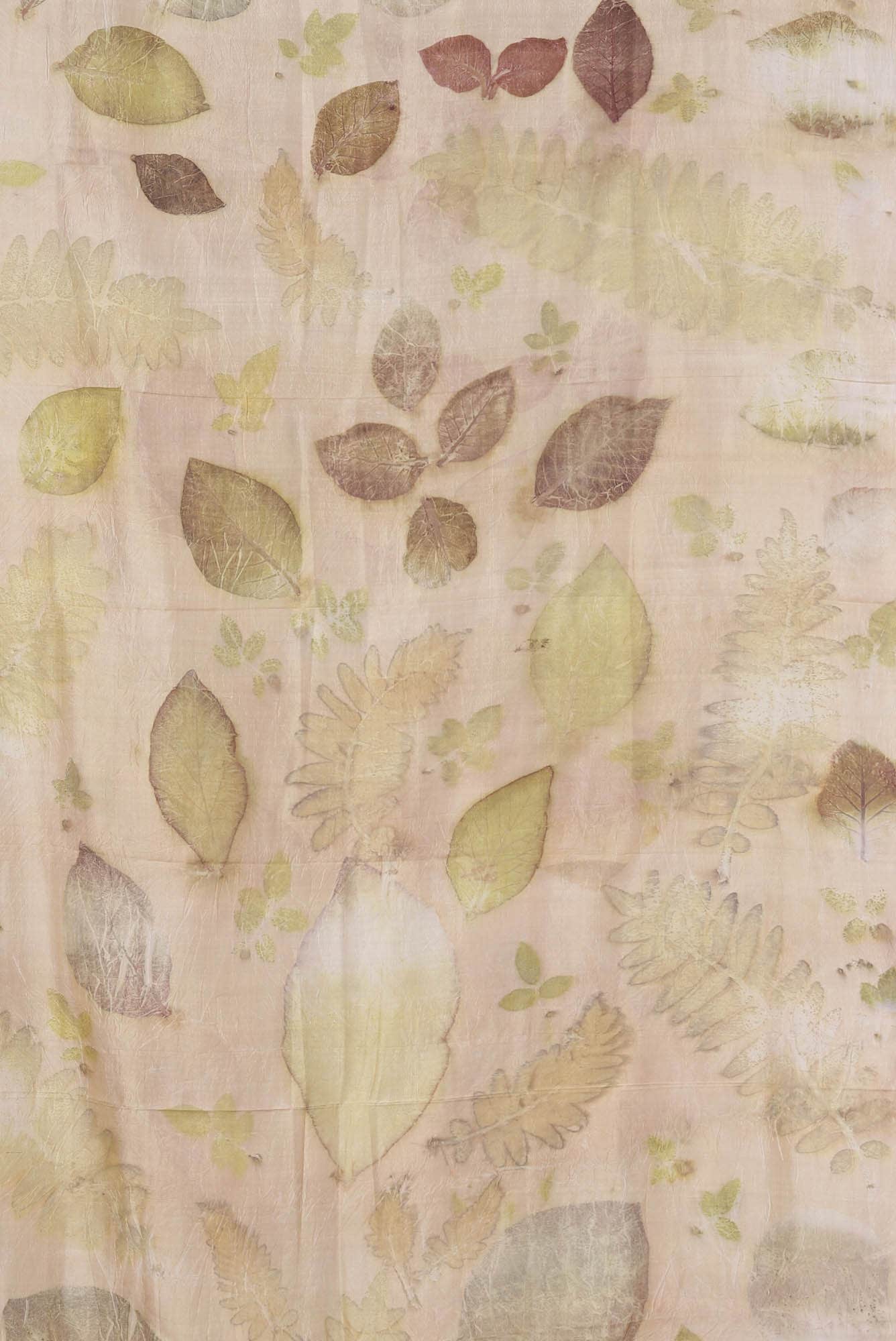 Sandal Bhagalpuri Tussar Silk Saree