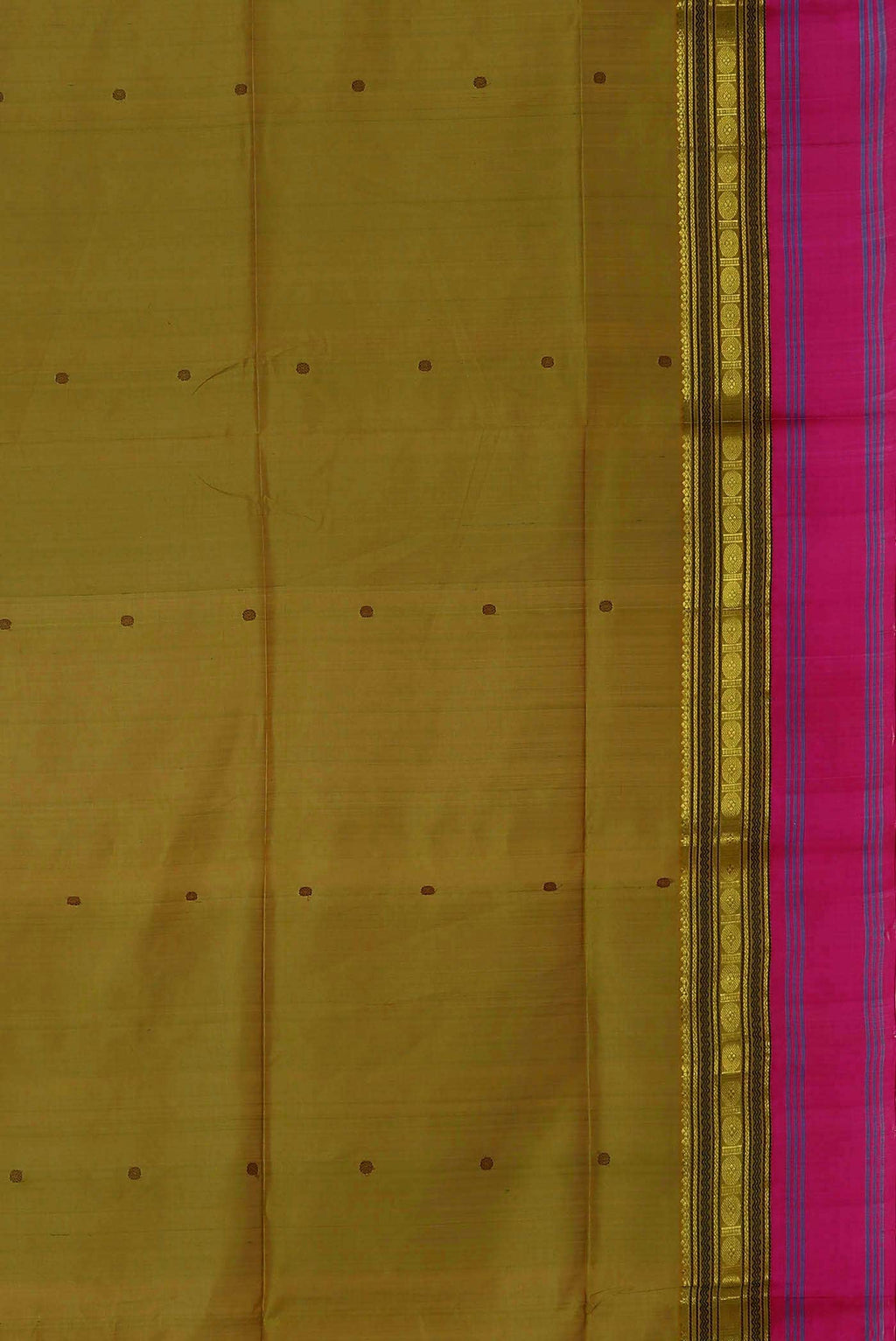 Green with Yellow Dual Tone Silk Cotton Saree
