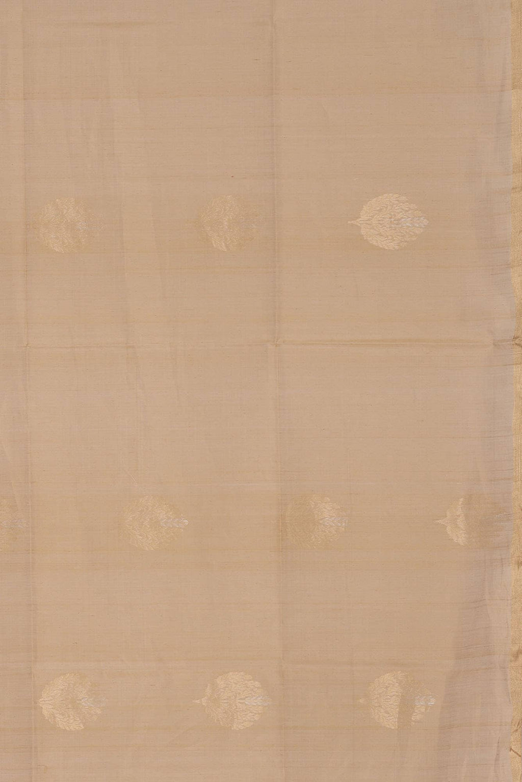 Beige Silk Cotton Saree