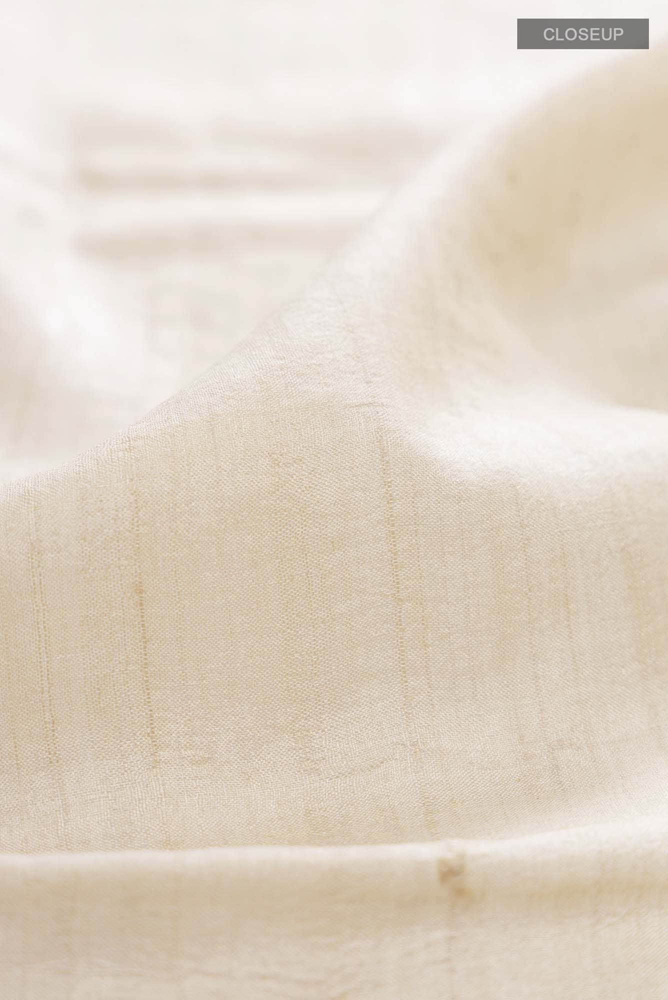 Beige Tussar Silk Saree