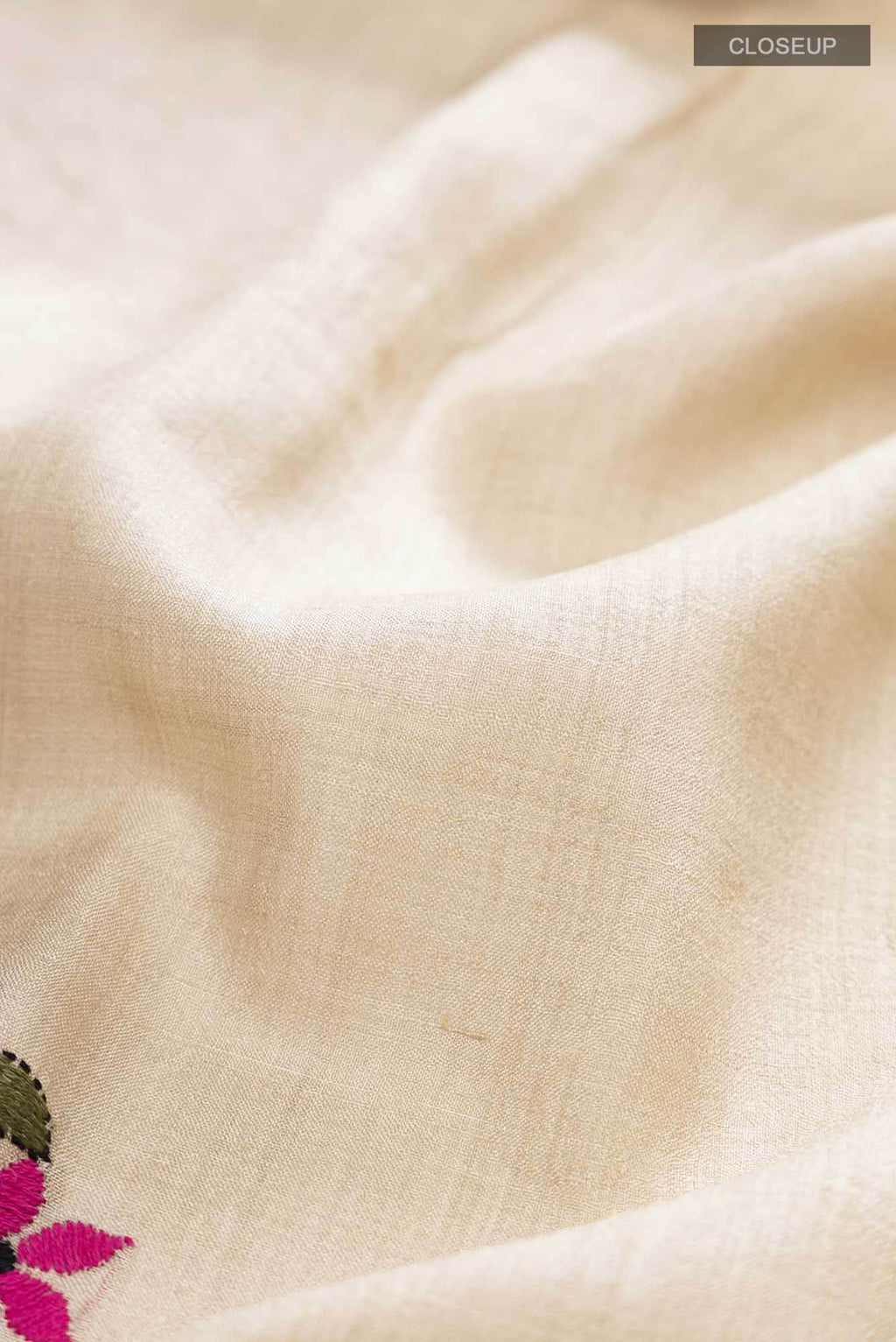 Beige Tussar Silk Saree