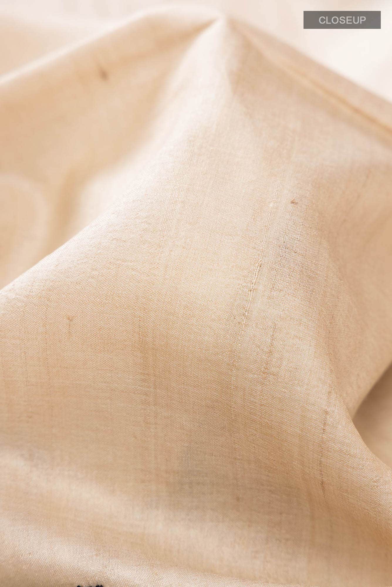 Beige Tussar Silk Saree