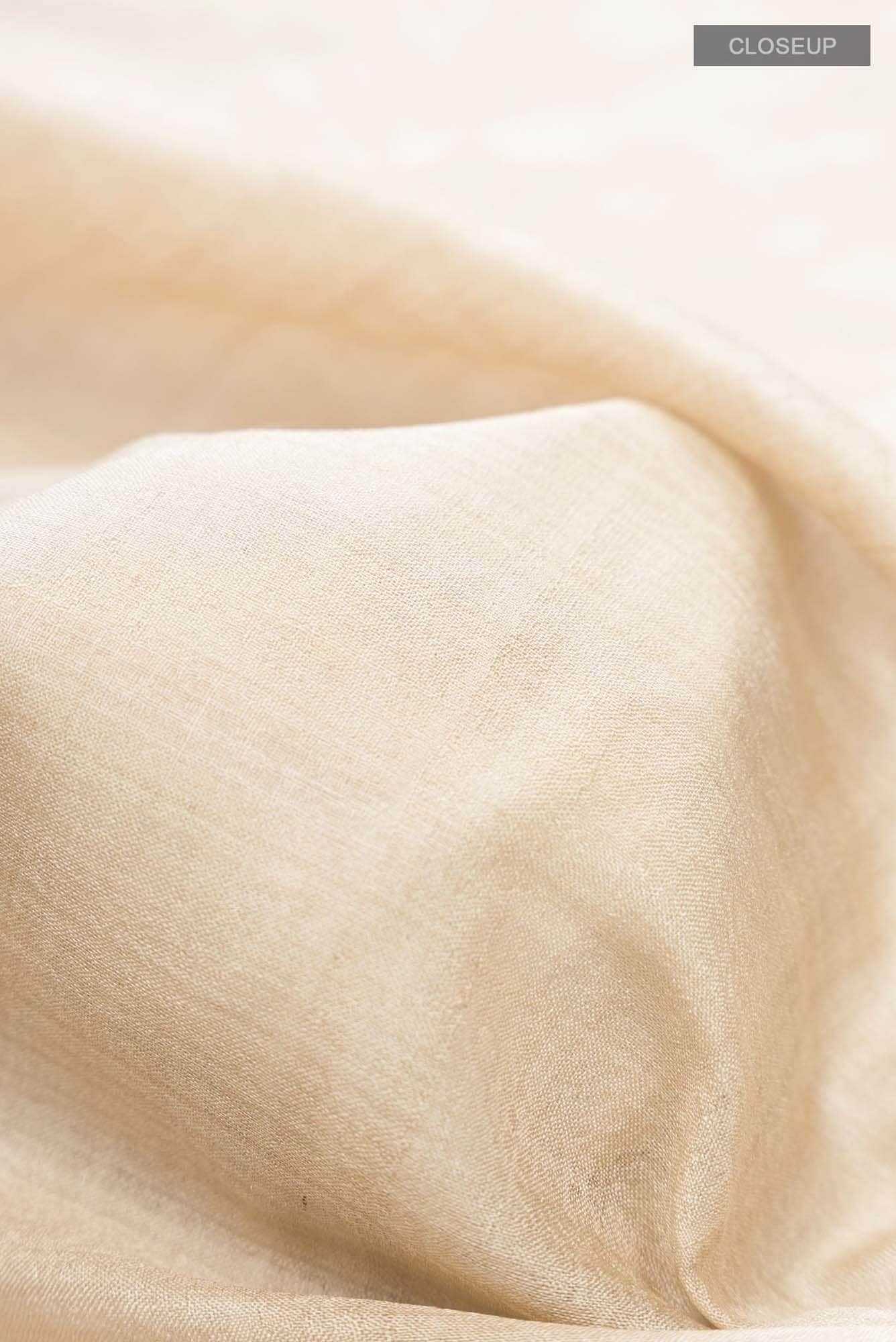 Beige Tussar Silk Saree