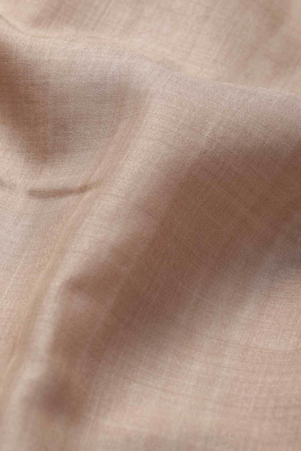 Beige Bhagalpuri Tussar Silk Saree